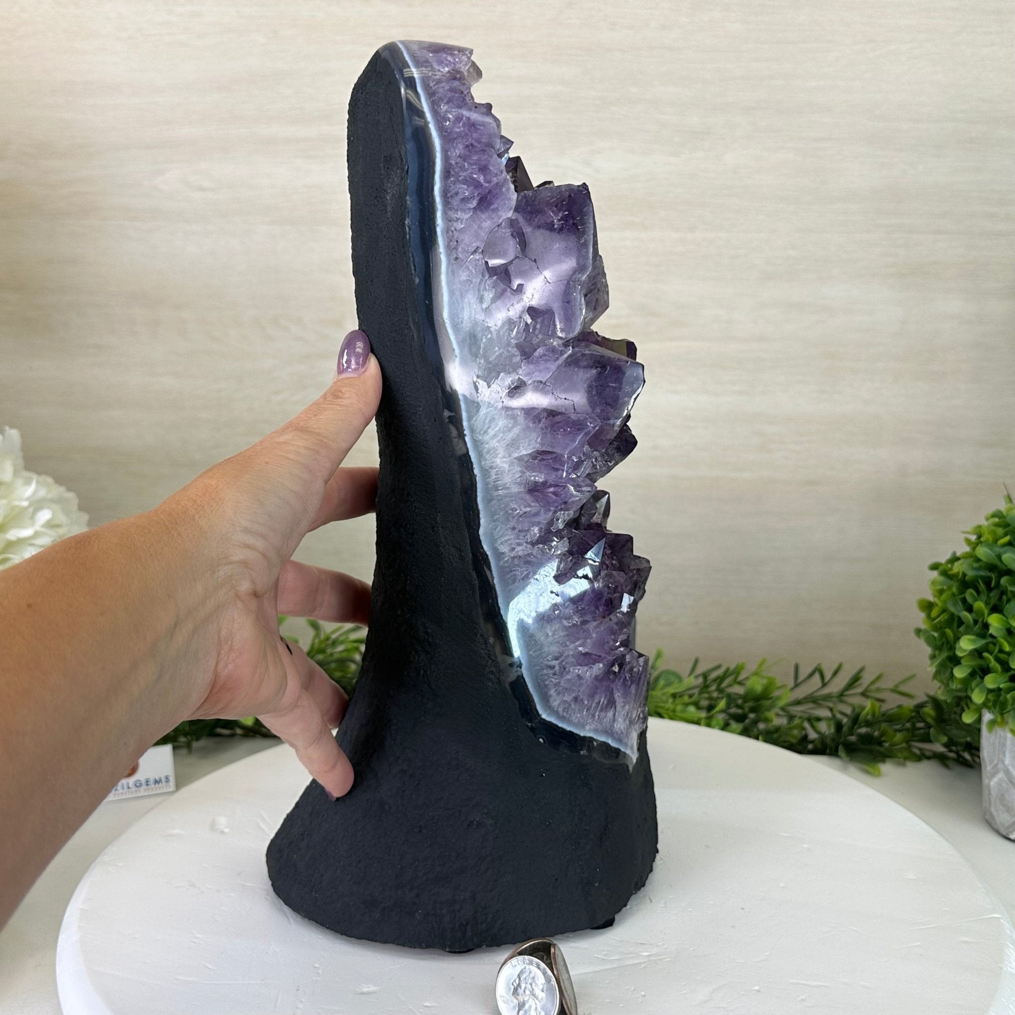 Extra Quality Amethyst Cluster, Cement Base, 11.8 lbs & 12.5" Tall #5614 - 0137 - Brazil GemsBrazil GemsExtra Quality Amethyst Cluster, Cement Base, 11.8 lbs & 12.5" Tall #5614 - 0137Clusters on Cement Bases5614 - 0137