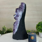 Extra Quality Amethyst Cluster, Cement Base, 11.8 lbs & 12.5" Tall #5614 - 0137 - Brazil GemsBrazil GemsExtra Quality Amethyst Cluster, Cement Base, 11.8 lbs & 12.5" Tall #5614 - 0137Clusters on Cement Bases5614 - 0137