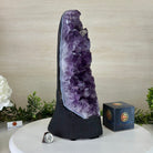 Extra Quality Amethyst Cluster, Cement Base, 11.8 lbs & 12.5" Tall #5614 - 0137 - Brazil GemsBrazil GemsExtra Quality Amethyst Cluster, Cement Base, 11.8 lbs & 12.5" Tall #5614 - 0137Clusters on Cement Bases5614 - 0137