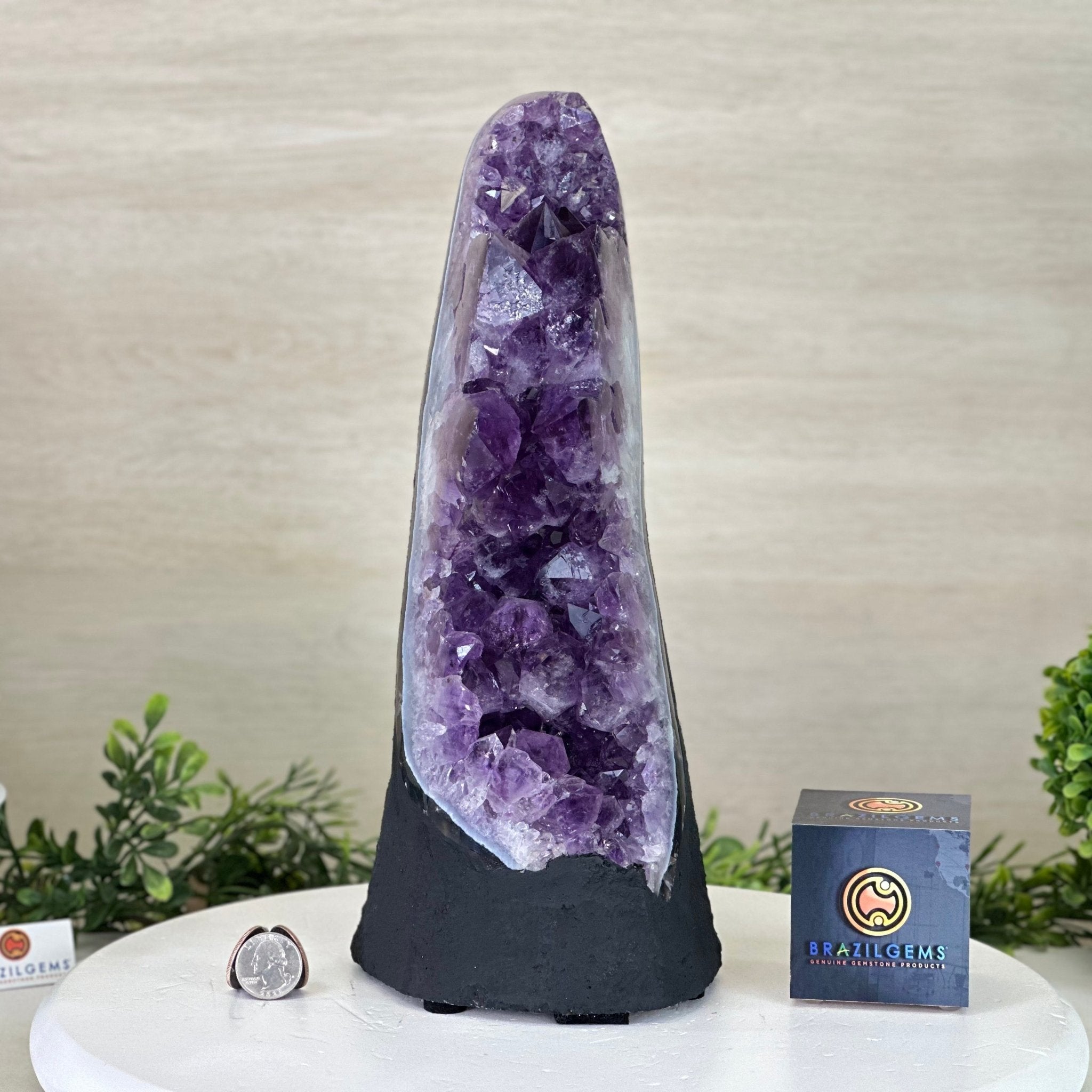 Extra Quality Amethyst Cluster, Cement Base, 11.8 lbs & 12.5" Tall #5614 - 0137 - Brazil GemsBrazil GemsExtra Quality Amethyst Cluster, Cement Base, 11.8 lbs & 12.5" Tall #5614 - 0137Clusters on Cement Bases5614 - 0137