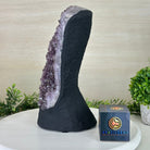 Extra Quality Amethyst Cluster, Cement Base, 12 lbs & 11.7" Tall #5614 - 0139 - Brazil GemsBrazil GemsExtra Quality Amethyst Cluster, Cement Base, 12 lbs & 11.7" Tall #5614 - 0139Clusters on Cement Bases5614 - 0139