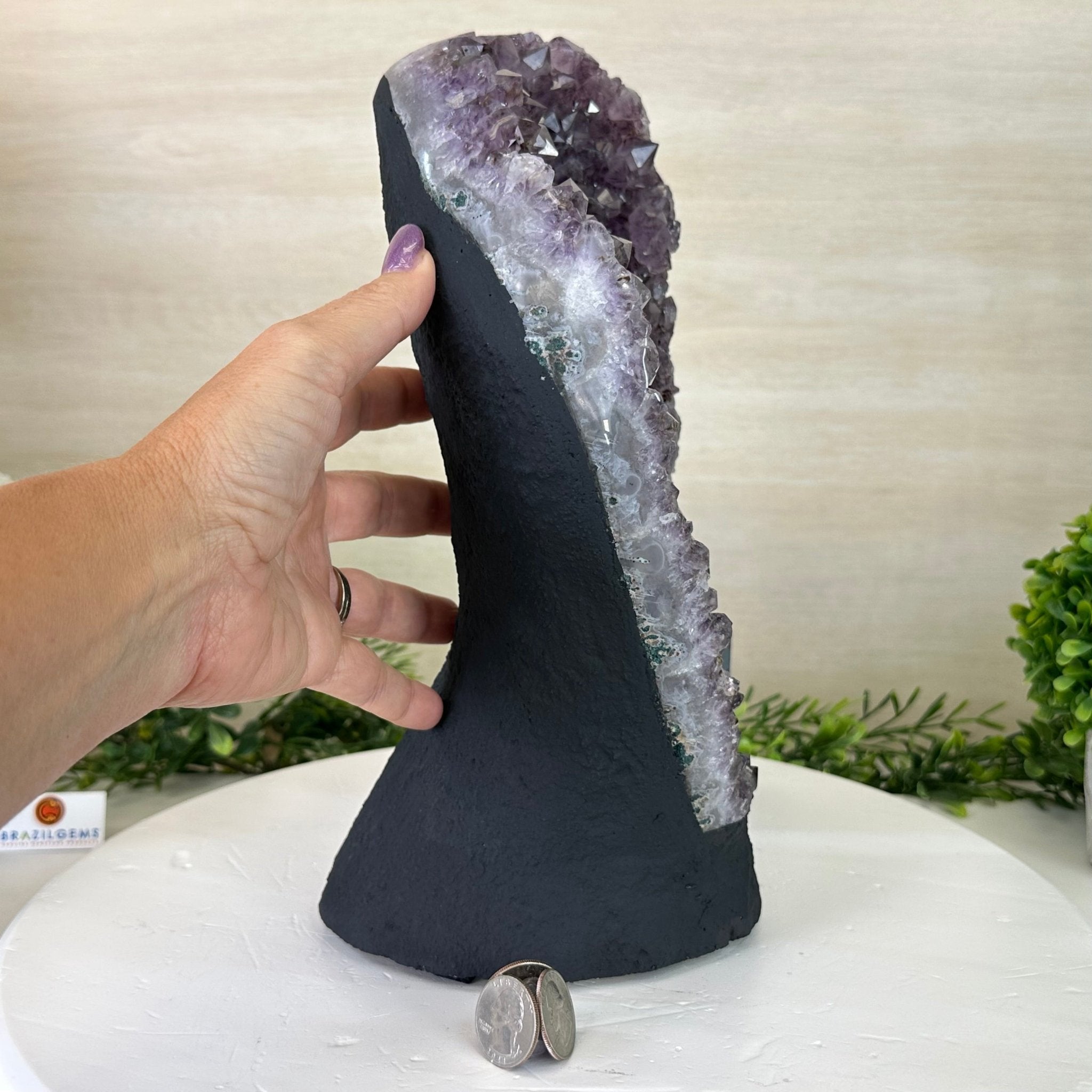 Extra Quality Amethyst Cluster, Cement Base, 12 lbs & 11.7" Tall #5614 - 0139 - Brazil GemsBrazil GemsExtra Quality Amethyst Cluster, Cement Base, 12 lbs & 11.7" Tall #5614 - 0139Clusters on Cement Bases5614 - 0139