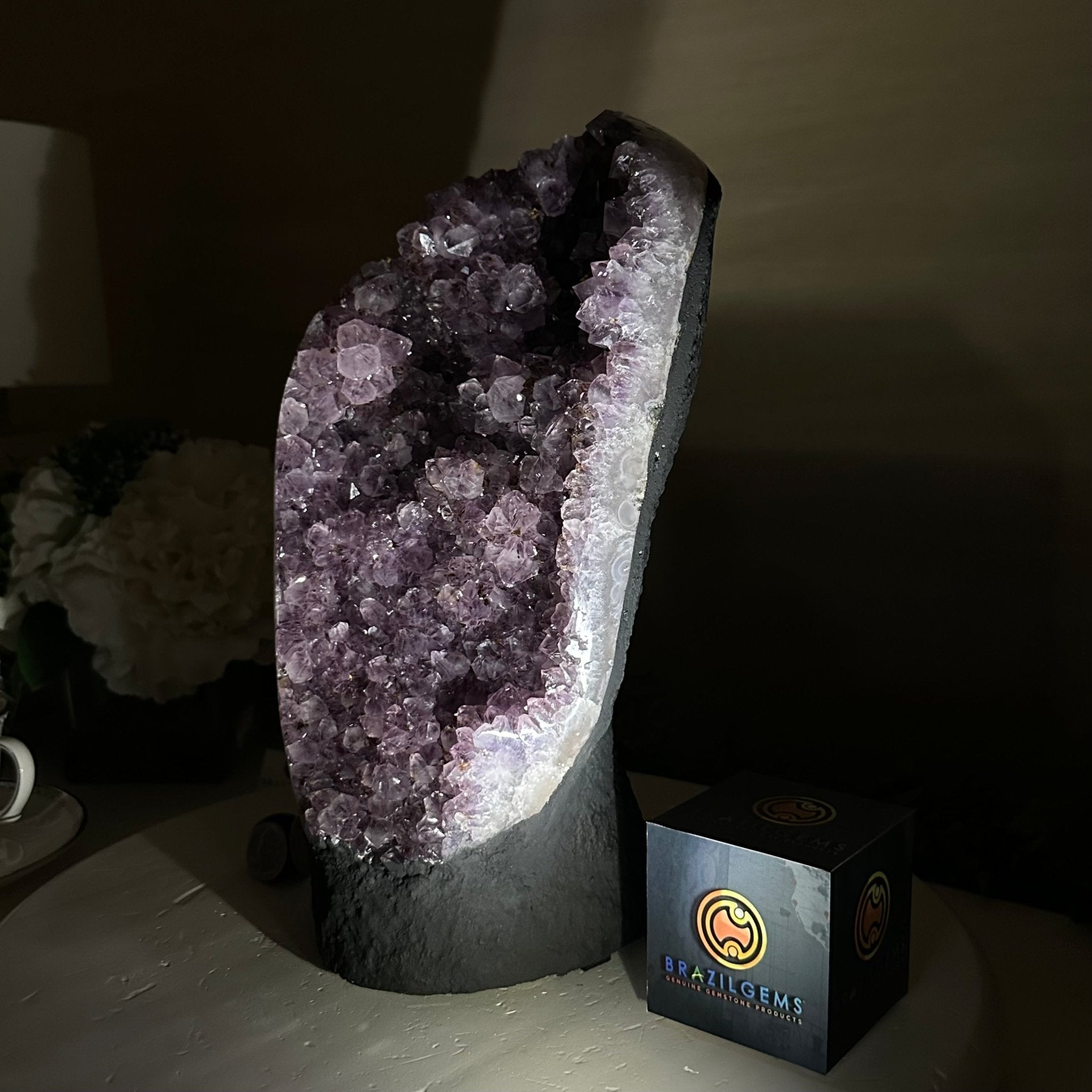 Extra Quality Amethyst Cluster, Cement Base, 12 lbs & 11.7" Tall #5614 - 0139 - Brazil GemsBrazil GemsExtra Quality Amethyst Cluster, Cement Base, 12 lbs & 11.7" Tall #5614 - 0139Clusters on Cement Bases5614 - 0139