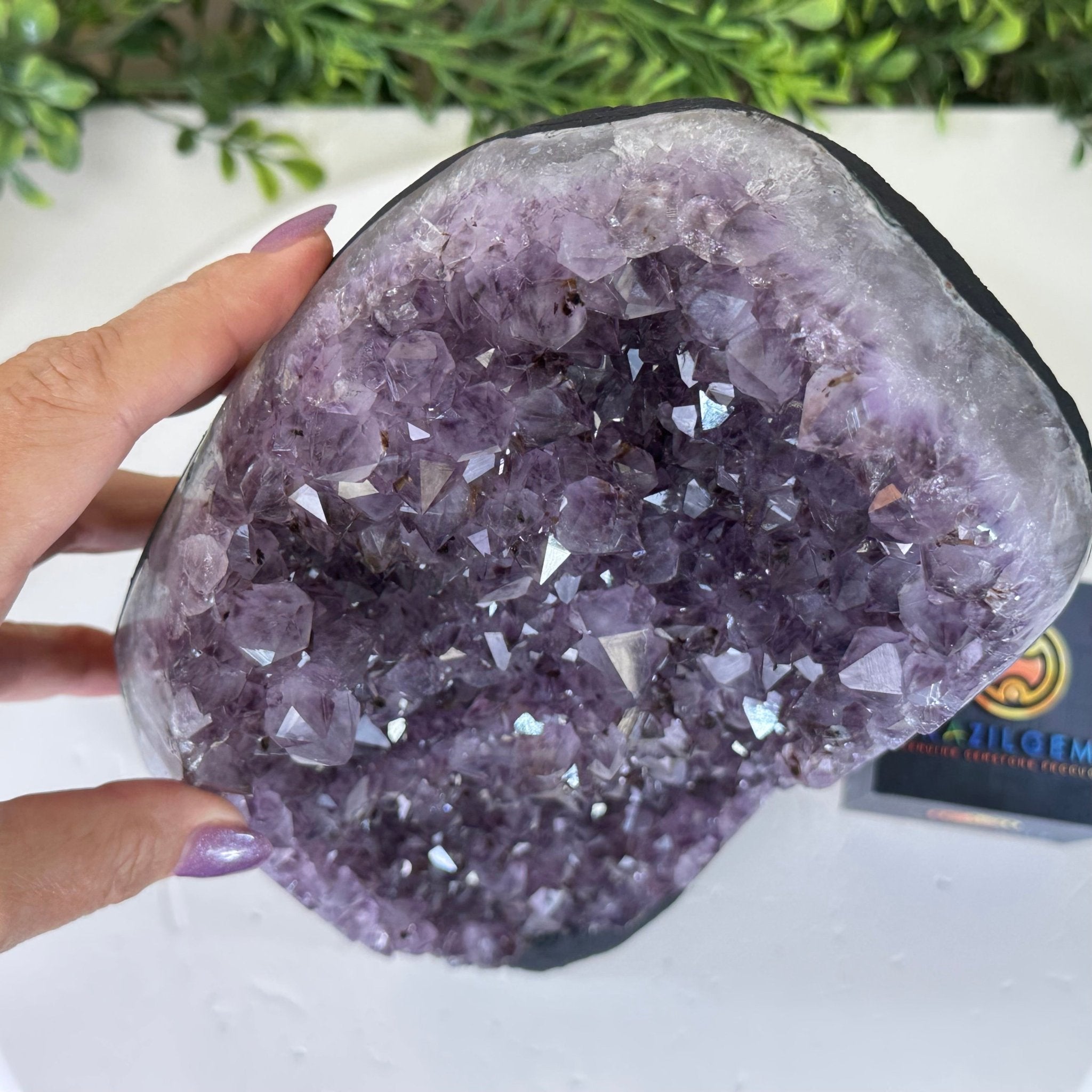 Extra Quality Amethyst Cluster, Cement Base, 12 lbs & 11.7" Tall #5614 - 0139 - Brazil GemsBrazil GemsExtra Quality Amethyst Cluster, Cement Base, 12 lbs & 11.7" Tall #5614 - 0139Clusters on Cement Bases5614 - 0139