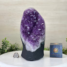 Extra Quality Amethyst Cluster, Cement Base, 12.1 lbs & 10.2" Tall #5614 - 0140 - Brazil GemsBrazil GemsExtra Quality Amethyst Cluster, Cement Base, 12.1 lbs & 10.2" Tall #5614 - 0140Clusters on Cement Bases5614 - 0140