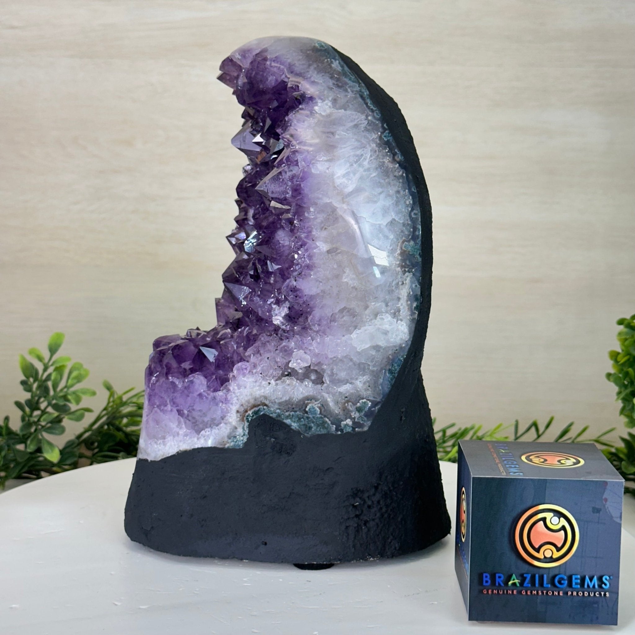 Extra Quality Amethyst Cluster, Cement Base, 12.1 lbs & 10.2" Tall #5614 - 0140 - Brazil GemsBrazil GemsExtra Quality Amethyst Cluster, Cement Base, 12.1 lbs & 10.2" Tall #5614 - 0140Clusters on Cement Bases5614 - 0140