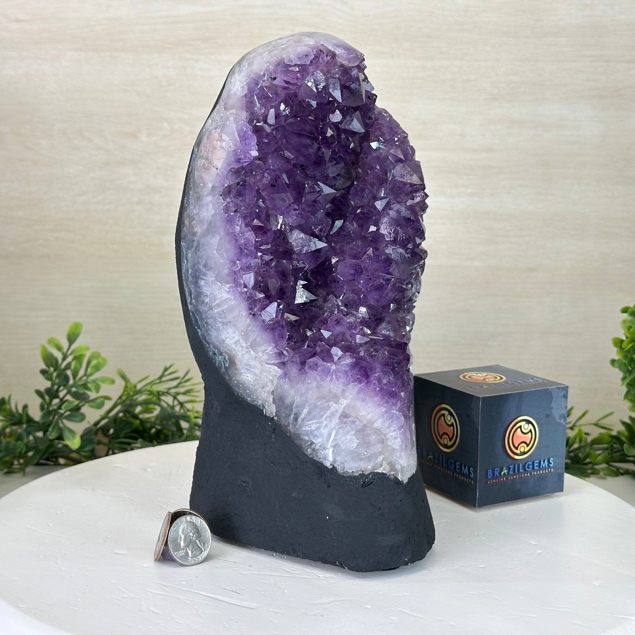 Extra Quality Amethyst Cluster, Cement Base, 12.1 lbs & 10.2" Tall #5614 - 0140 - Brazil GemsBrazil GemsExtra Quality Amethyst Cluster, Cement Base, 12.1 lbs & 10.2" Tall #5614 - 0140Clusters on Cement Bases5614 - 0140