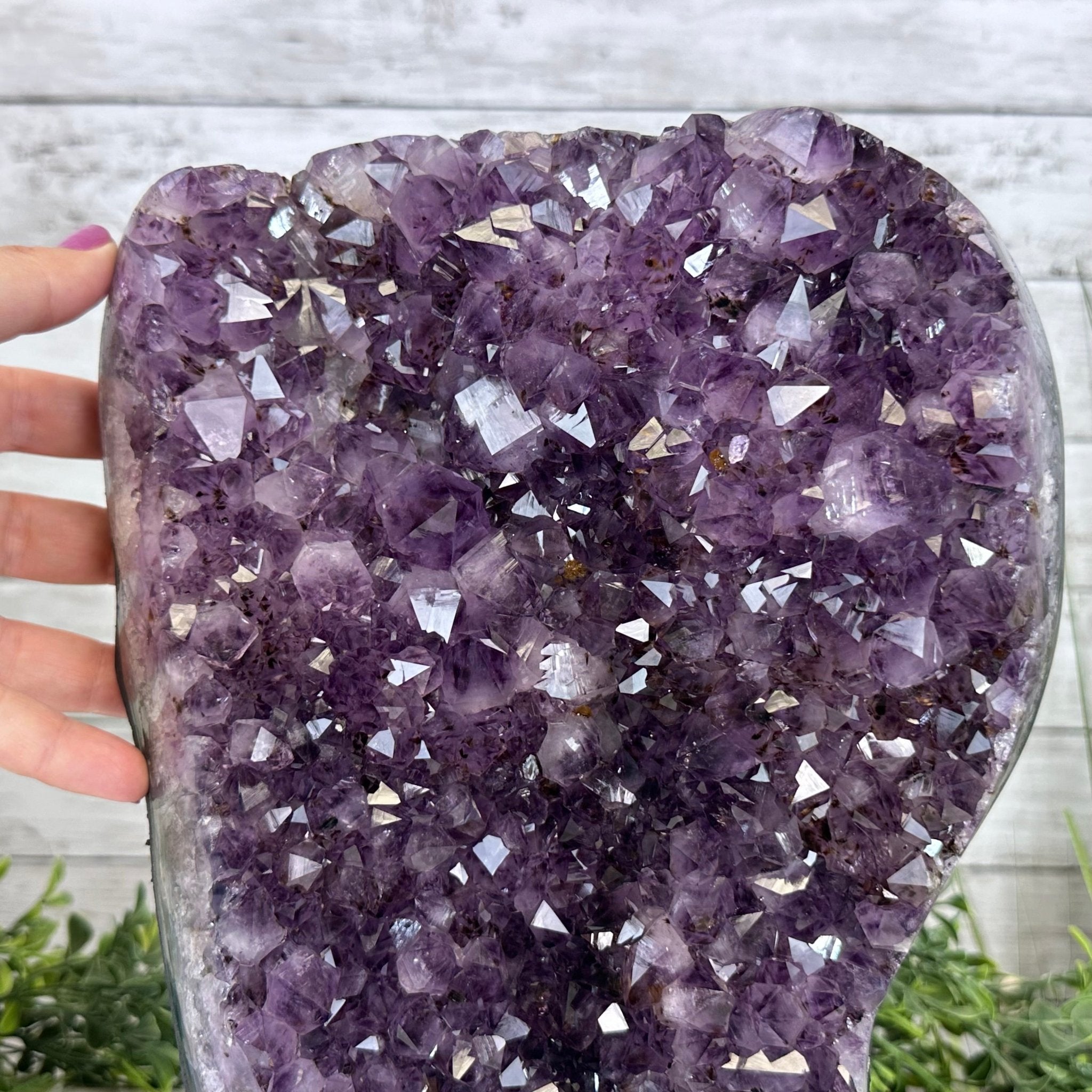 Extra Quality Amethyst Cluster, Cement Base, 12.5" Tall #5614-0117 - Brazil GemsBrazil GemsExtra Quality Amethyst Cluster, Cement Base, 12.5" Tall #5614-0117Clusters on Cement Bases5614-0117