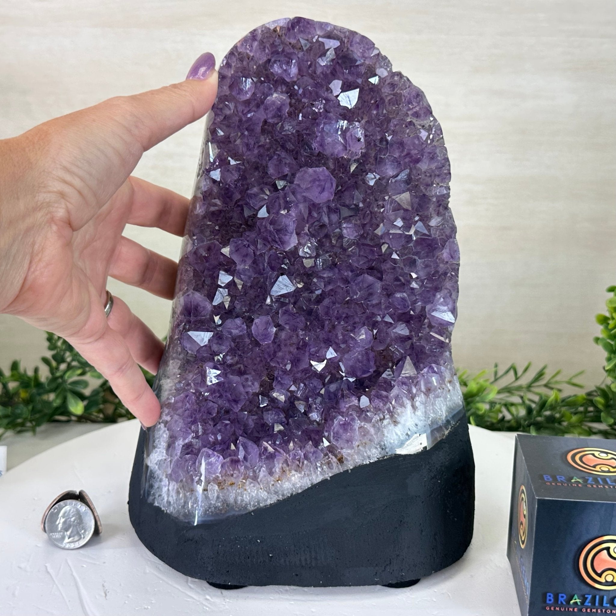 Extra Quality Amethyst Cluster, Cement Base, 12.9 lbs & 10.1" Tall #5614 - 0141 - Brazil GemsBrazil GemsExtra Quality Amethyst Cluster, Cement Base, 12.9 lbs & 10.1" Tall #5614 - 0141Clusters on Cement Bases5614 - 0141