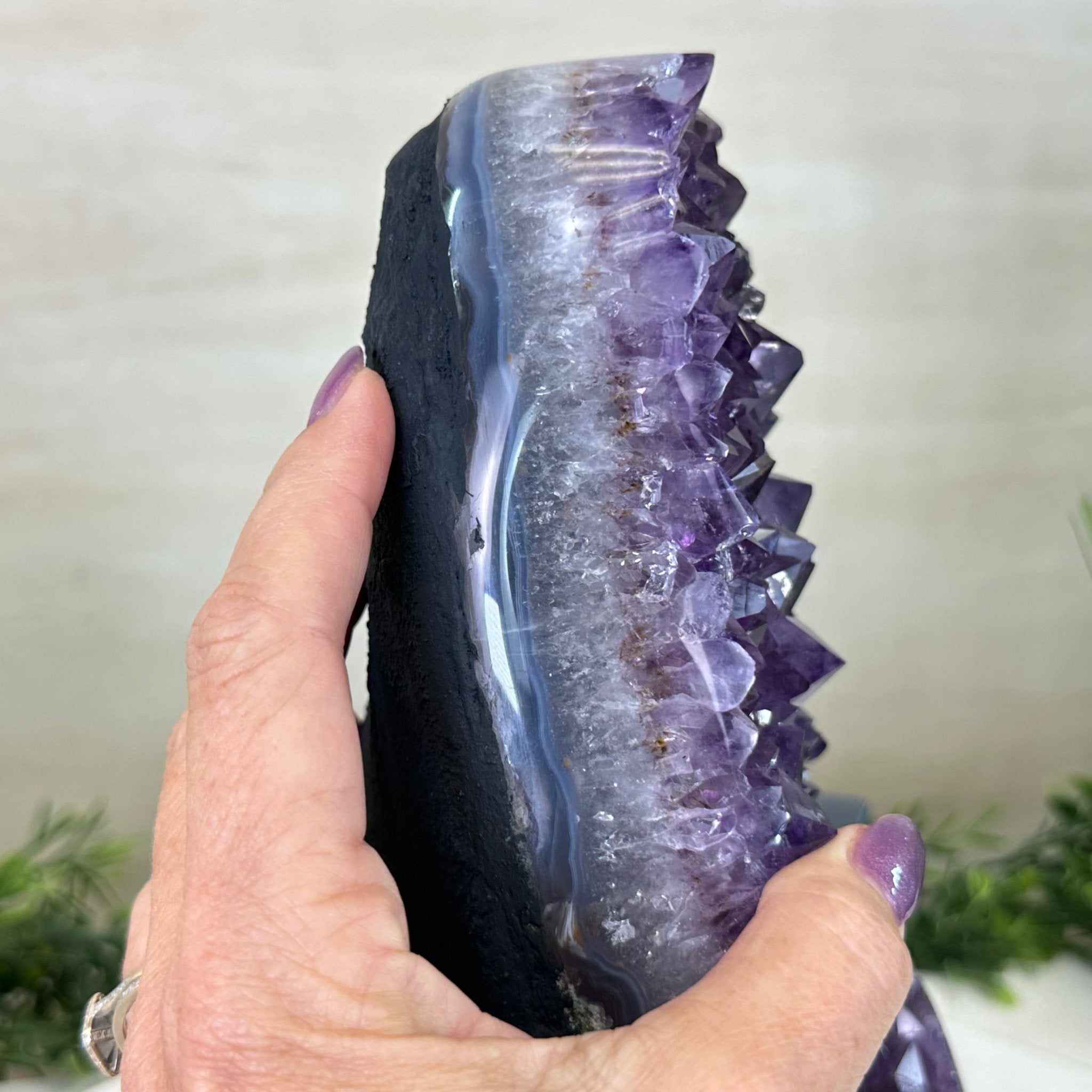 Extra Quality Amethyst Cluster, Cement Base, 12.9 lbs & 10.1" Tall #5614 - 0141 - Brazil GemsBrazil GemsExtra Quality Amethyst Cluster, Cement Base, 12.9 lbs & 10.1" Tall #5614 - 0141Clusters on Cement Bases5614 - 0141