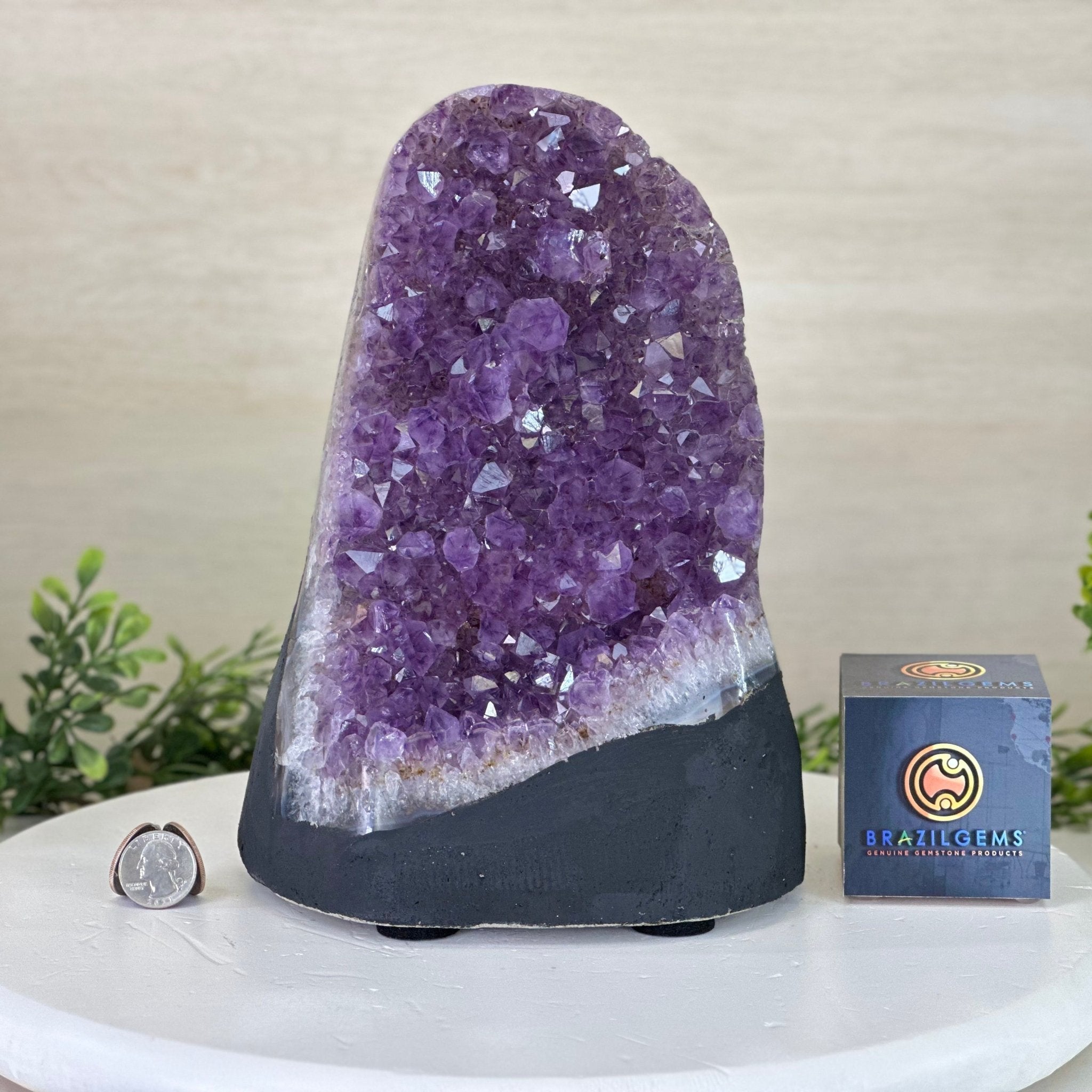 Extra Quality Amethyst Cluster, Cement Base, 12.9 lbs & 10.1" Tall #5614 - 0141 - Brazil GemsBrazil GemsExtra Quality Amethyst Cluster, Cement Base, 12.9 lbs & 10.1" Tall #5614 - 0141Clusters on Cement Bases5614 - 0141