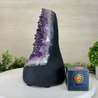 Extra Quality Amethyst Cluster, Cement Base, 12.9 lbs & 10.1" Tall #5614 - 0141 - Brazil GemsBrazil GemsExtra Quality Amethyst Cluster, Cement Base, 12.9 lbs & 10.1" Tall #5614 - 0141Clusters on Cement Bases5614 - 0141