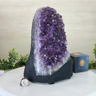 Extra Quality Amethyst Cluster, Cement Base, 12.9 lbs & 10.1" Tall #5614 - 0141 - Brazil GemsBrazil GemsExtra Quality Amethyst Cluster, Cement Base, 12.9 lbs & 10.1" Tall #5614 - 0141Clusters on Cement Bases5614 - 0141