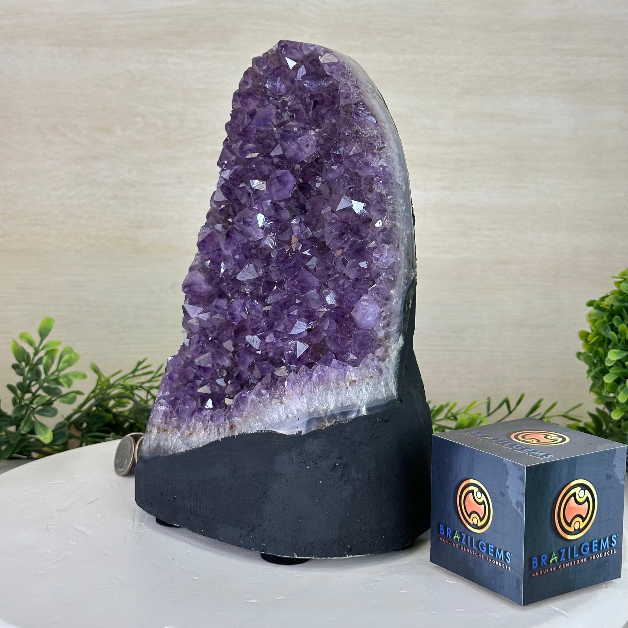 Extra Quality Amethyst Cluster, Cement Base, 12.9 lbs & 10.1" Tall #5614 - 0141 - Brazil GemsBrazil GemsExtra Quality Amethyst Cluster, Cement Base, 12.9 lbs & 10.1" Tall #5614 - 0141Clusters on Cement Bases5614 - 0141