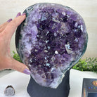 Extra Quality Amethyst Cluster, Cement Base, 13.1 lbs & 9.6" Tall #5614 - 0142 - Brazil GemsBrazil GemsExtra Quality Amethyst Cluster, Cement Base, 13.1 lbs & 9.6" Tall #5614 - 0142Clusters on Cement Bases5614 - 0142