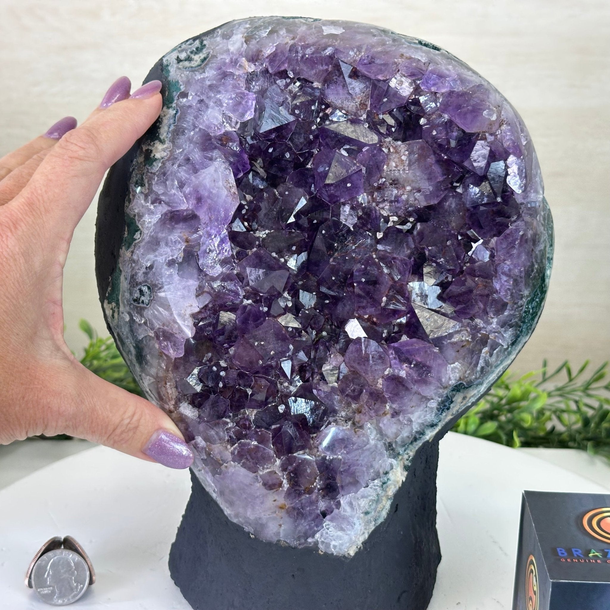 Extra Quality Amethyst Cluster, Cement Base, 13.1 lbs & 9.6" Tall #5614 - 0142 - Brazil GemsBrazil GemsExtra Quality Amethyst Cluster, Cement Base, 13.1 lbs & 9.6" Tall #5614 - 0142Clusters on Cement Bases5614 - 0142