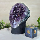 Extra Quality Amethyst Cluster, Cement Base, 13.1 lbs & 9.6" Tall #5614 - 0142 - Brazil GemsBrazil GemsExtra Quality Amethyst Cluster, Cement Base, 13.1 lbs & 9.6" Tall #5614 - 0142Clusters on Cement Bases5614 - 0142