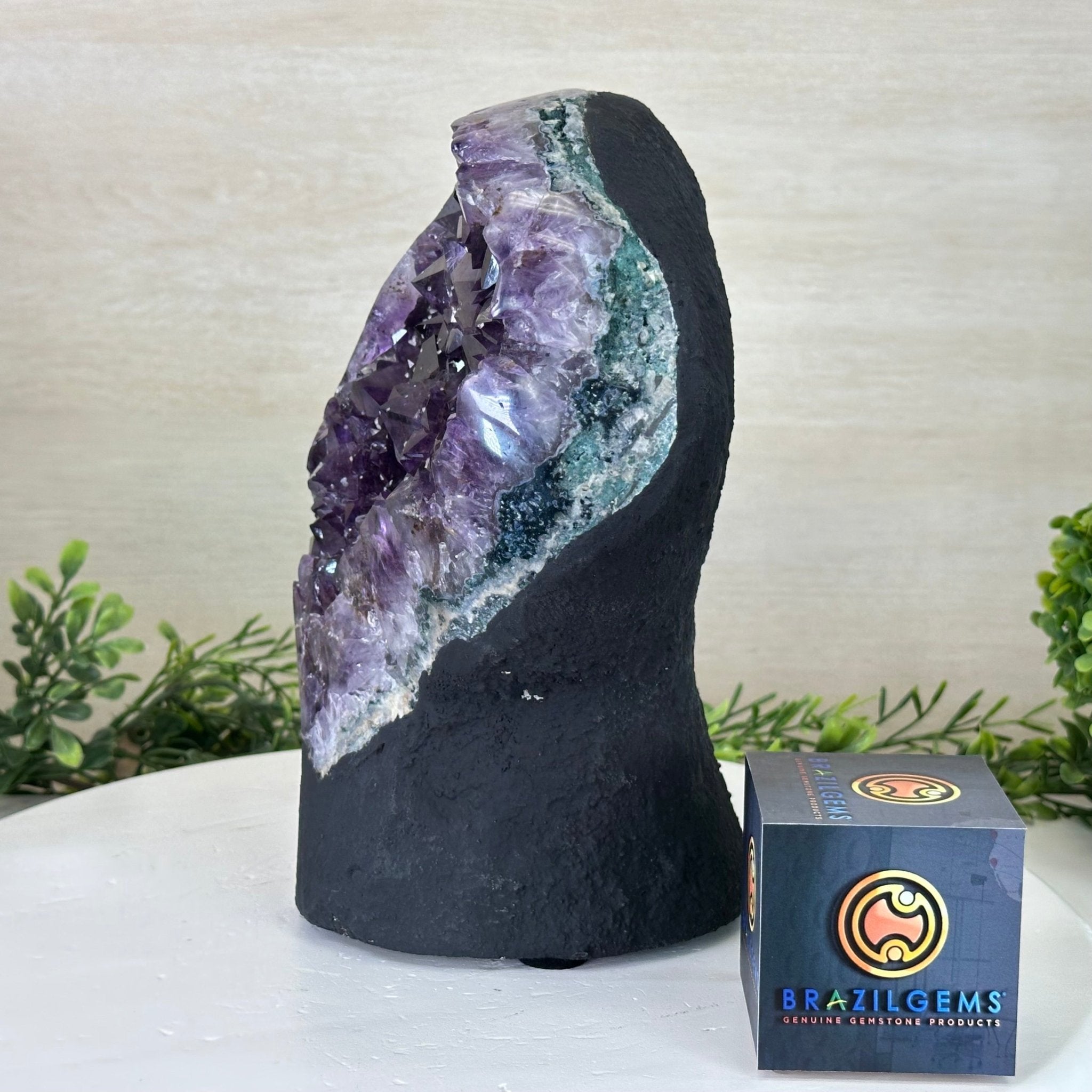 Extra Quality Amethyst Cluster, Cement Base, 13.1 lbs & 9.6" Tall #5614 - 0142 - Brazil GemsBrazil GemsExtra Quality Amethyst Cluster, Cement Base, 13.1 lbs & 9.6" Tall #5614 - 0142Clusters on Cement Bases5614 - 0142