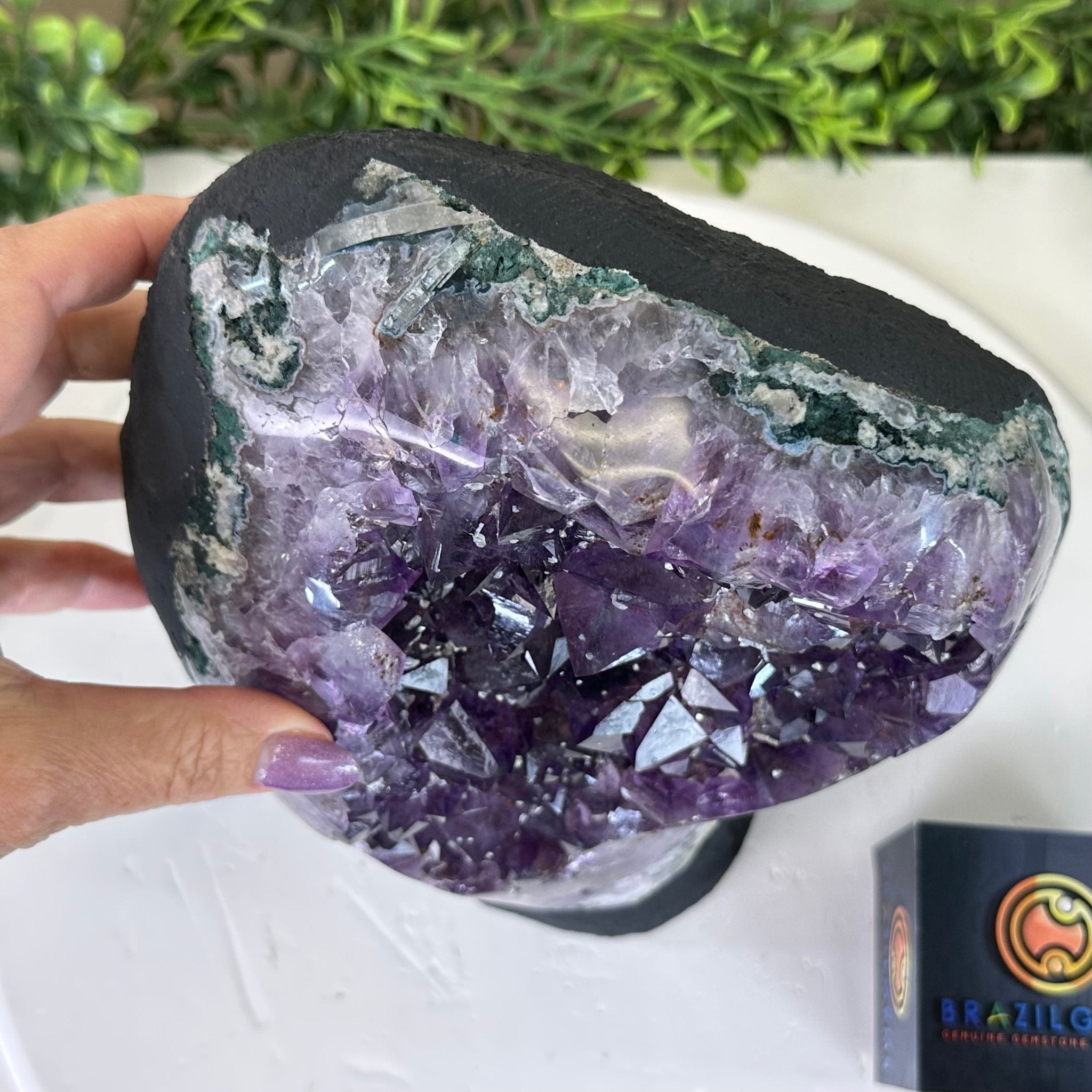 Extra Quality Amethyst Cluster, Cement Base, 13.1 lbs & 9.6" Tall #5614 - 0142 - Brazil GemsBrazil GemsExtra Quality Amethyst Cluster, Cement Base, 13.1 lbs & 9.6" Tall #5614 - 0142Clusters on Cement Bases5614 - 0142