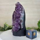 Extra Quality Amethyst Cluster, Cement Base, 14 lbs & 11.9" Tall #5614 - 0144 - Brazil GemsBrazil GemsExtra Quality Amethyst Cluster, Cement Base, 14 lbs & 11.9" Tall #5614 - 0144Clusters on Cement Bases5614 - 0144