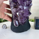 Extra Quality Amethyst Cluster, Cement Base, 14 lbs & 11.9" Tall #5614 - 0144 - Brazil GemsBrazil GemsExtra Quality Amethyst Cluster, Cement Base, 14 lbs & 11.9" Tall #5614 - 0144Clusters on Cement Bases5614 - 0144