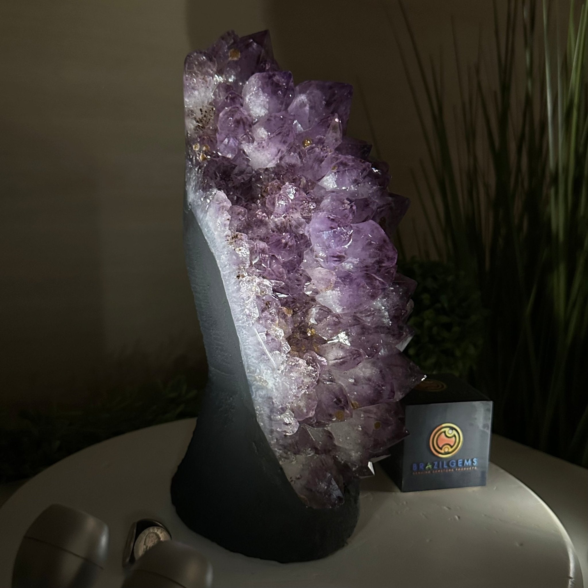 Extra Quality Amethyst Cluster, Cement Base, 14 lbs & 11.9" Tall #5614 - 0144 - Brazil GemsBrazil GemsExtra Quality Amethyst Cluster, Cement Base, 14 lbs & 11.9" Tall #5614 - 0144Clusters on Cement Bases5614 - 0144