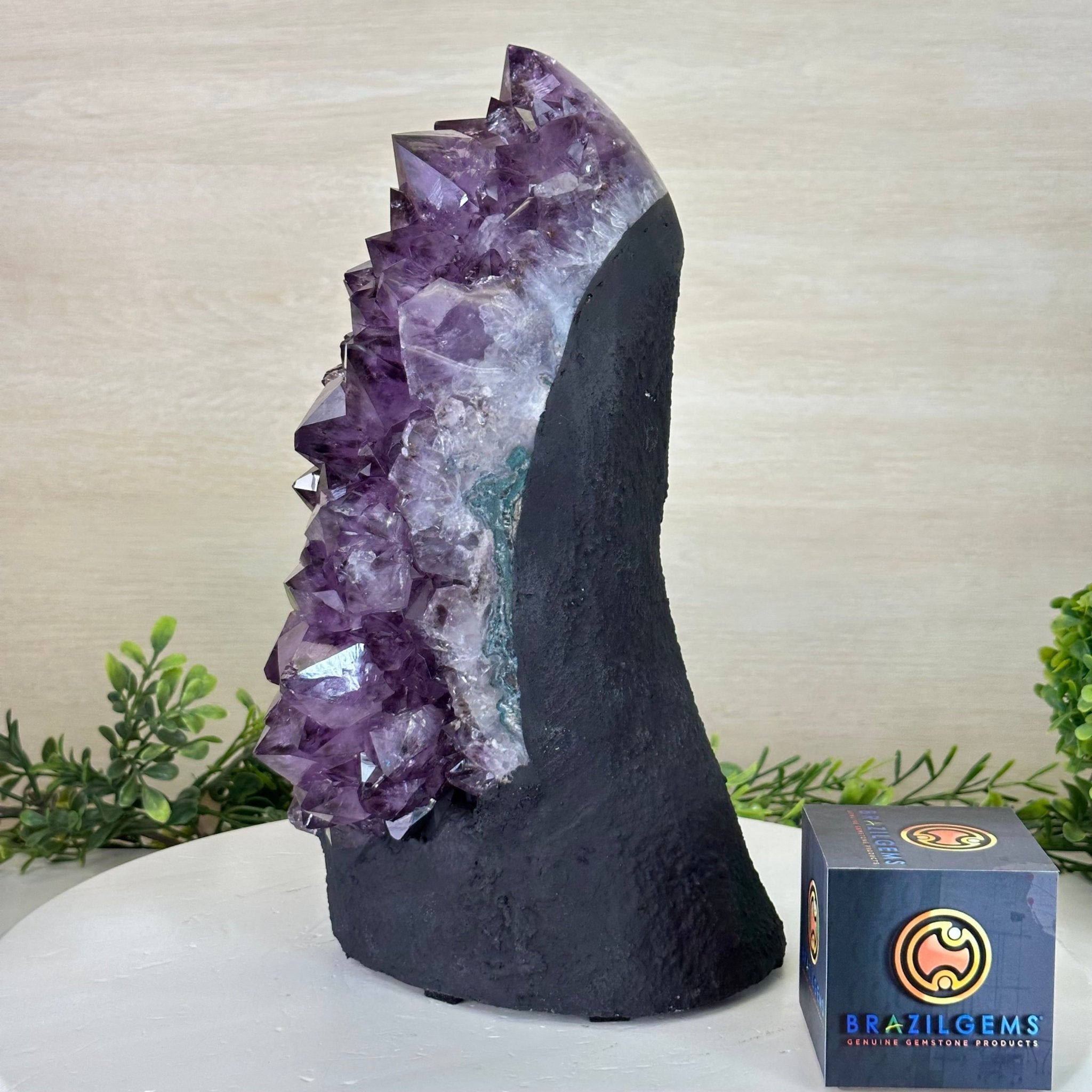 Extra Quality Amethyst Cluster, Cement Base, 14 lbs & 11.9" Tall #5614 - 0144 - Brazil GemsBrazil GemsExtra Quality Amethyst Cluster, Cement Base, 14 lbs & 11.9" Tall #5614 - 0144Clusters on Cement Bases5614 - 0144