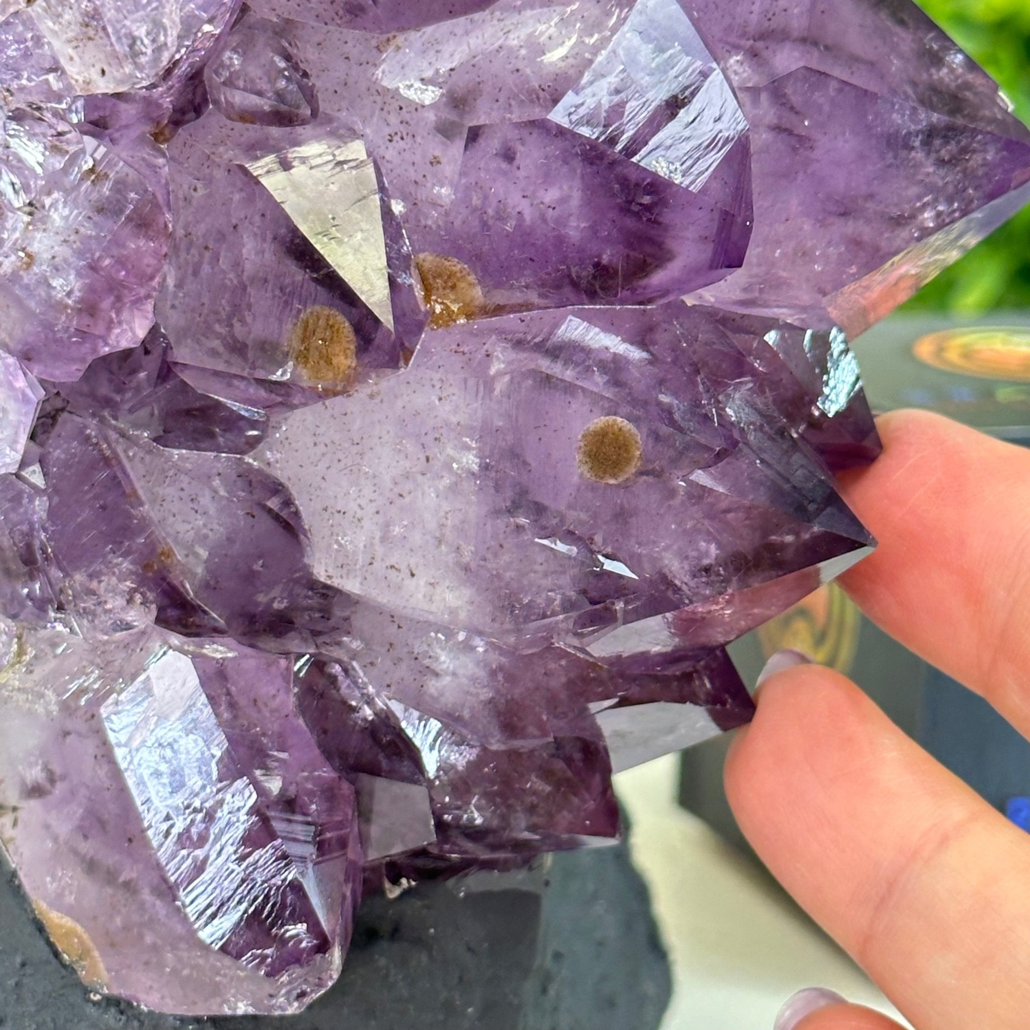 Extra Quality Amethyst Cluster, Cement Base, 14 lbs & 11.9" Tall #5614 - 0144 - Brazil GemsBrazil GemsExtra Quality Amethyst Cluster, Cement Base, 14 lbs & 11.9" Tall #5614 - 0144Clusters on Cement Bases5614 - 0144