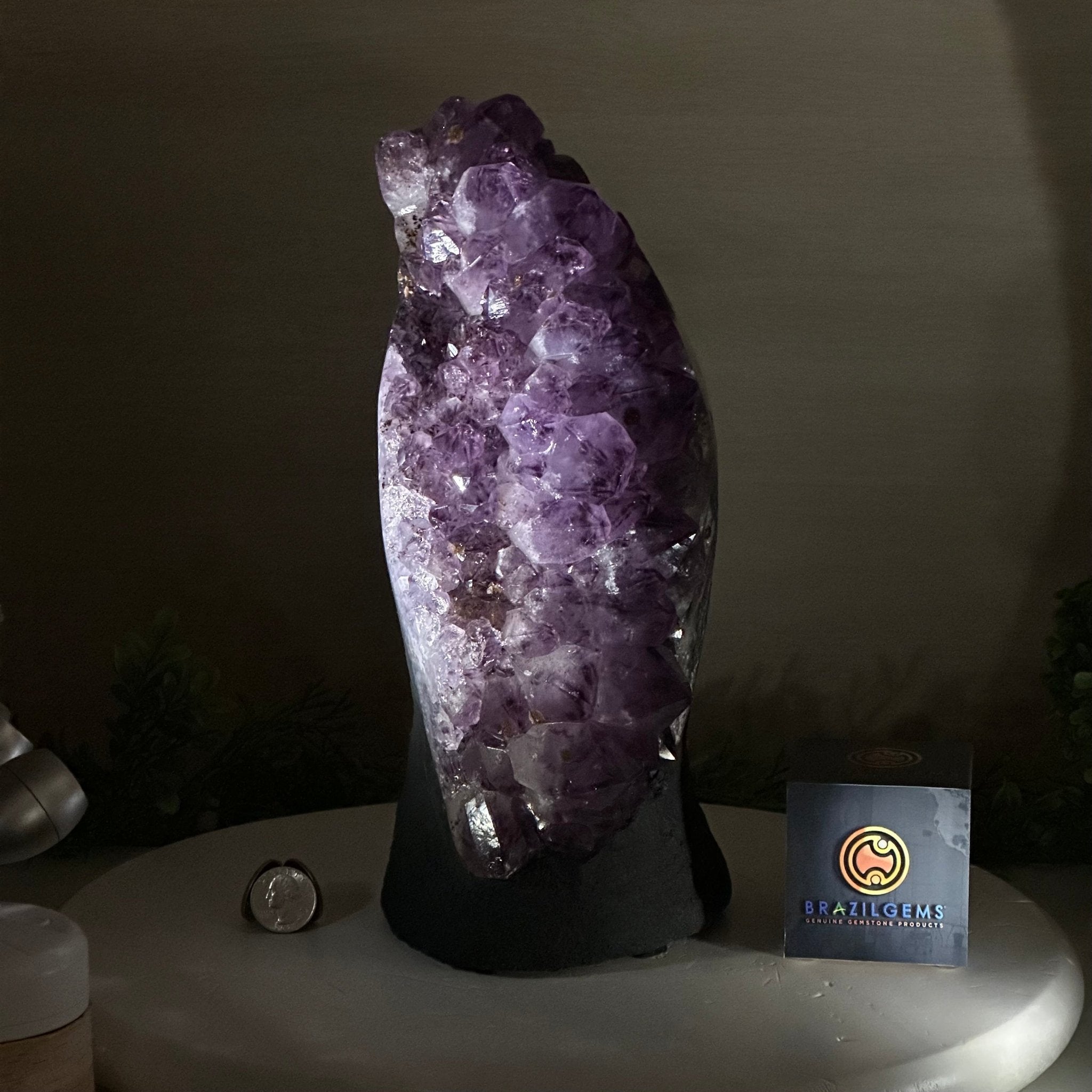 Extra Quality Amethyst Cluster, Cement Base, 14 lbs & 11.9" Tall #5614 - 0144 - Brazil GemsBrazil GemsExtra Quality Amethyst Cluster, Cement Base, 14 lbs & 11.9" Tall #5614 - 0144Clusters on Cement Bases5614 - 0144