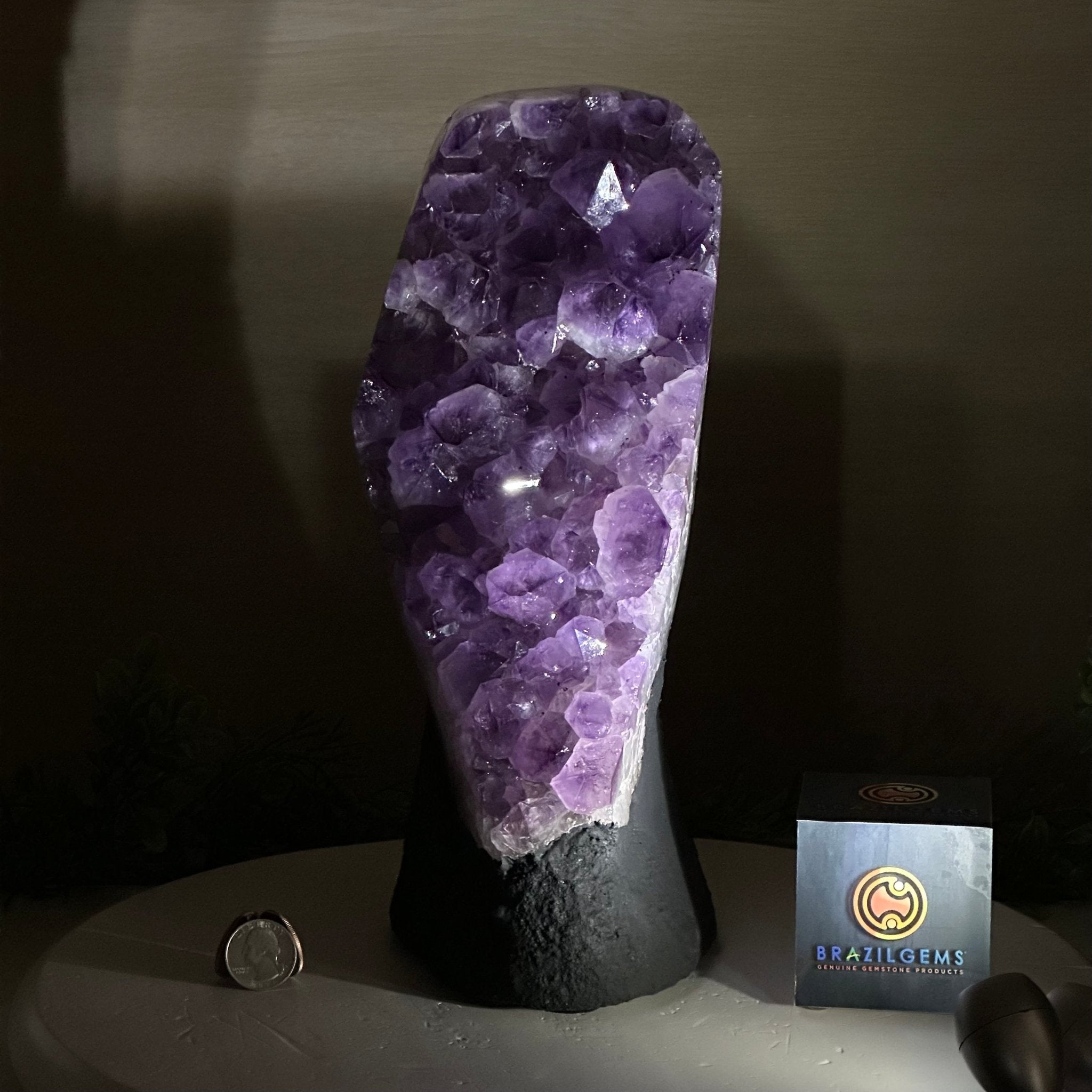 Extra Quality Amethyst Cluster, Cement Base, 14 lbs & 12.1" Tall #5614 - 0143 - Brazil GemsBrazil GemsExtra Quality Amethyst Cluster, Cement Base, 14 lbs & 12.1" Tall #5614 - 0143Clusters on Cement Bases5614 - 0143