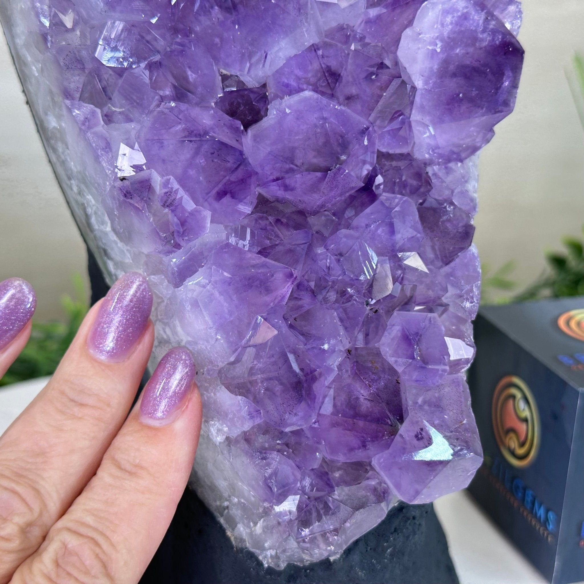 Extra Quality Amethyst Cluster, Cement Base, 14 lbs & 12.1" Tall #5614 - 0143 - Brazil GemsBrazil GemsExtra Quality Amethyst Cluster, Cement Base, 14 lbs & 12.1" Tall #5614 - 0143Clusters on Cement Bases5614 - 0143