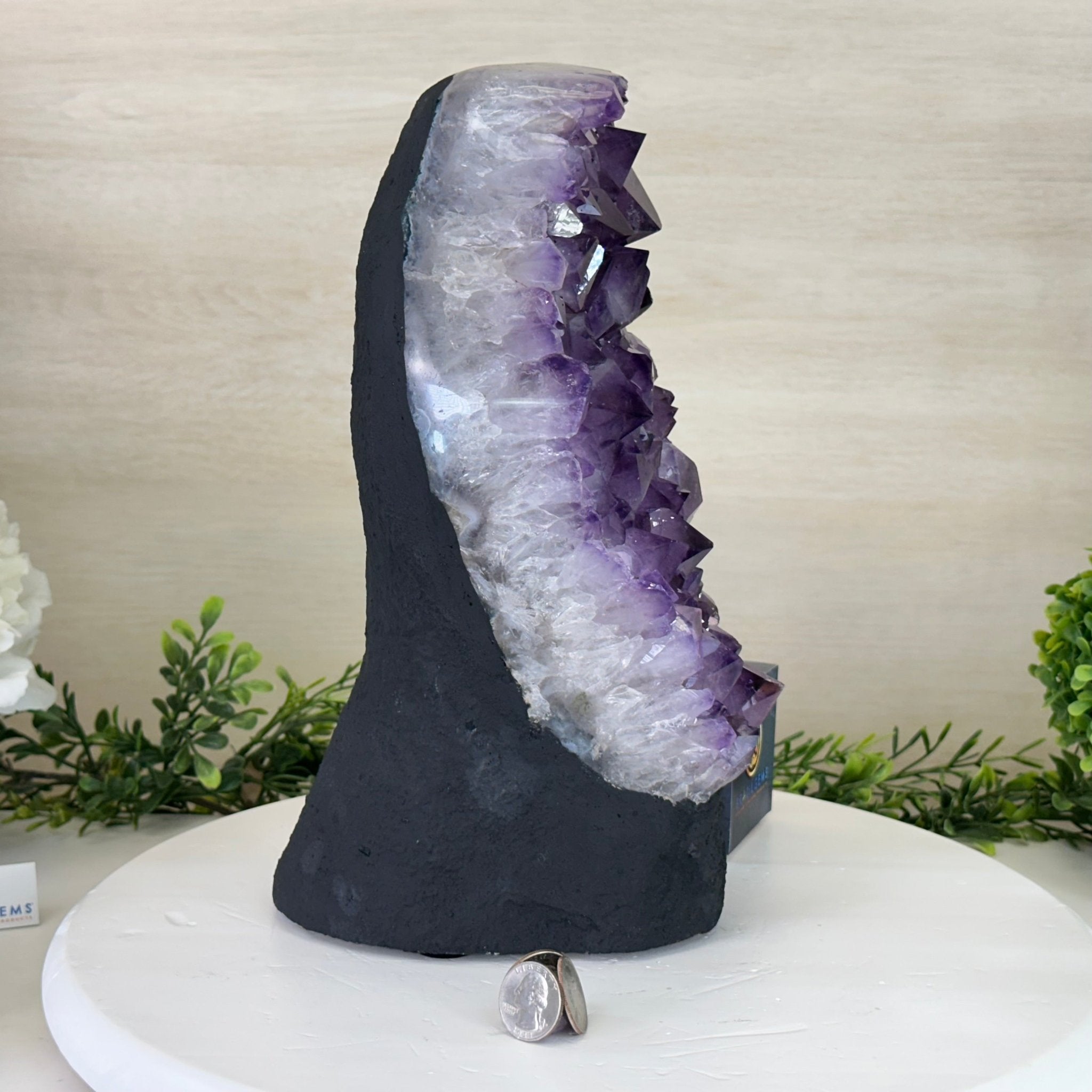 Extra Quality Amethyst Cluster, Cement Base, 14 lbs & 12.1" Tall #5614 - 0143 - Brazil GemsBrazil GemsExtra Quality Amethyst Cluster, Cement Base, 14 lbs & 12.1" Tall #5614 - 0143Clusters on Cement Bases5614 - 0143