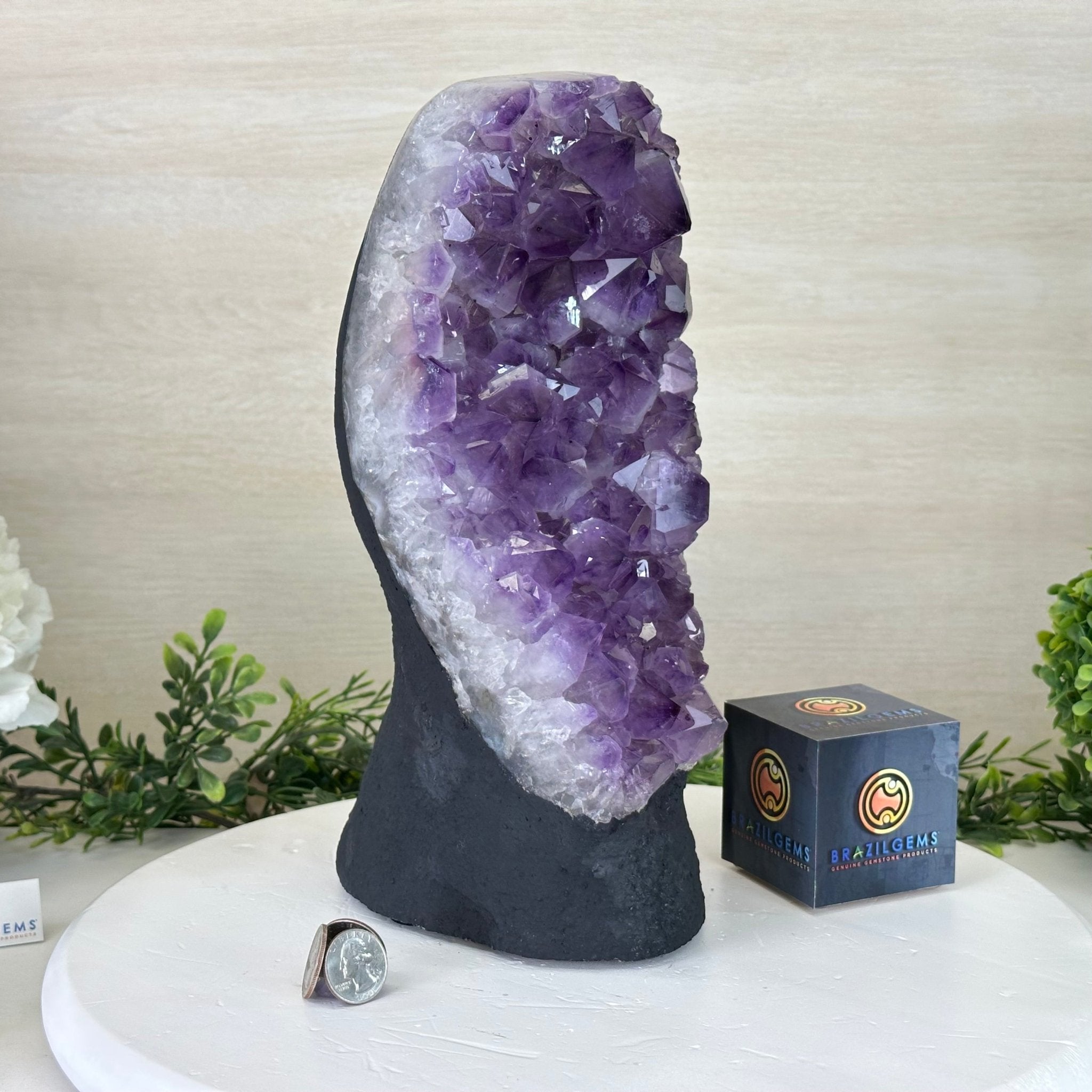 Extra Quality Amethyst Cluster, Cement Base, 14 lbs & 12.1" Tall #5614 - 0143 - Brazil GemsBrazil GemsExtra Quality Amethyst Cluster, Cement Base, 14 lbs & 12.1" Tall #5614 - 0143Clusters on Cement Bases5614 - 0143