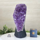 Extra Quality Amethyst Cluster, Cement Base, 14 lbs & 12.1" Tall #5614 - 0143 - Brazil GemsBrazil GemsExtra Quality Amethyst Cluster, Cement Base, 14 lbs & 12.1" Tall #5614 - 0143Clusters on Cement Bases5614 - 0143