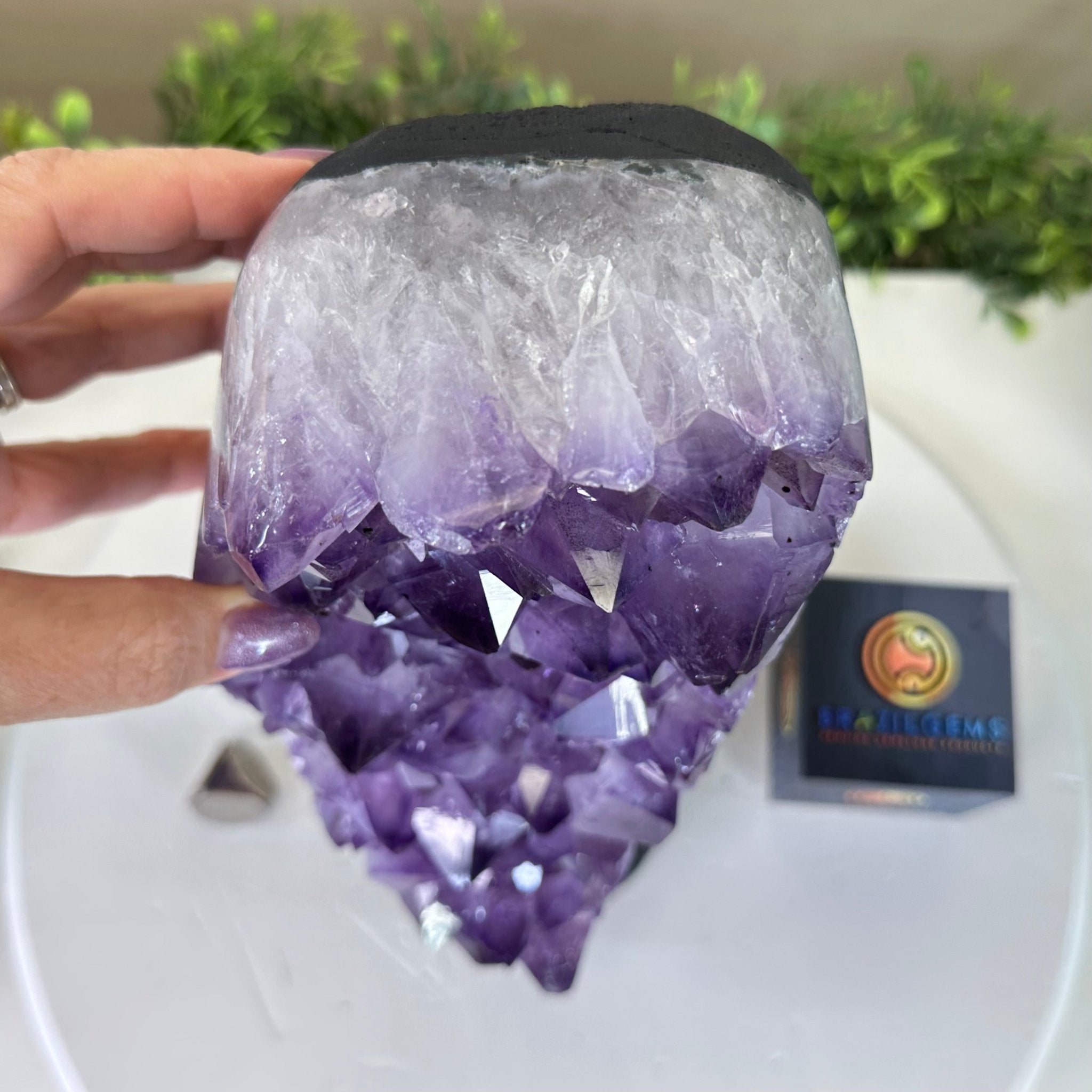 Extra Quality Amethyst Cluster, Cement Base, 14 lbs & 12.1" Tall #5614 - 0143 - Brazil GemsBrazil GemsExtra Quality Amethyst Cluster, Cement Base, 14 lbs & 12.1" Tall #5614 - 0143Clusters on Cement Bases5614 - 0143