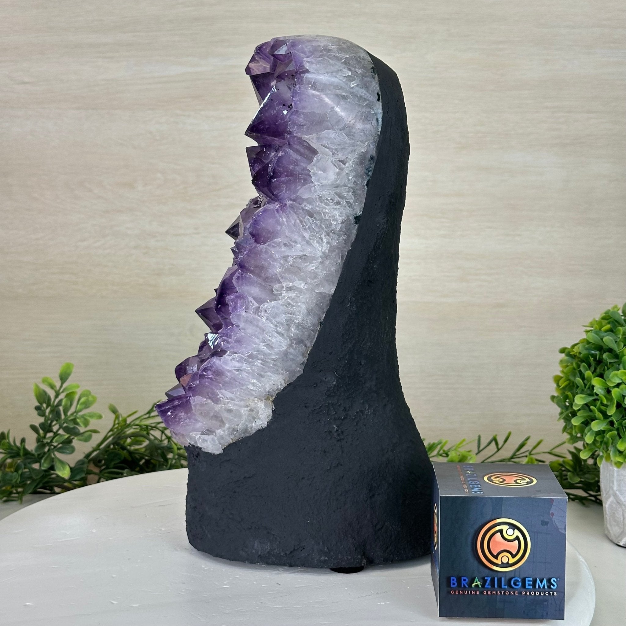 Extra Quality Amethyst Cluster, Cement Base, 14 lbs & 12.1" Tall #5614 - 0143 - Brazil GemsBrazil GemsExtra Quality Amethyst Cluster, Cement Base, 14 lbs & 12.1" Tall #5614 - 0143Clusters on Cement Bases5614 - 0143