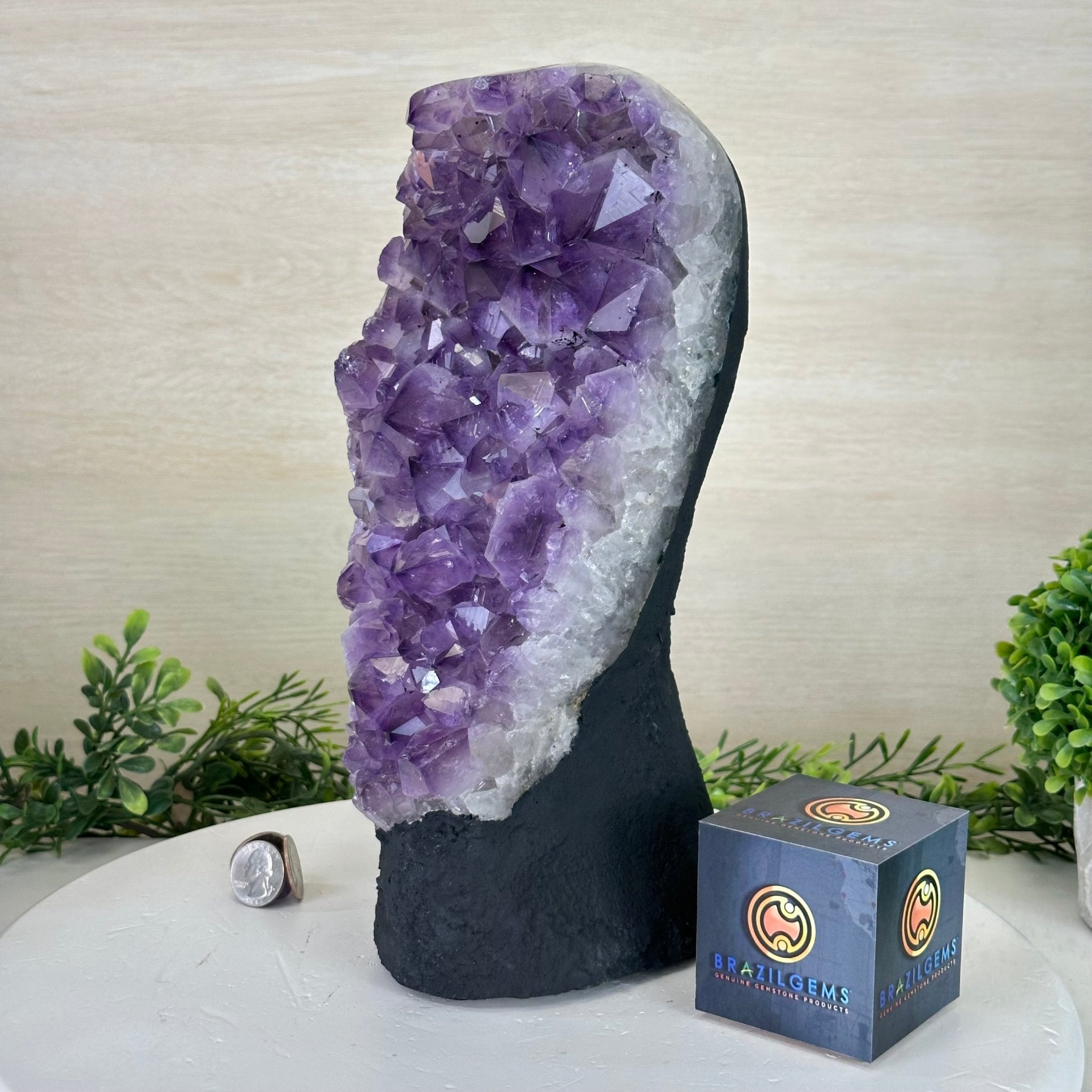 Extra Quality Amethyst Cluster, Cement Base, 14 lbs & 12.1" Tall #5614 - 0143 - Brazil GemsBrazil GemsExtra Quality Amethyst Cluster, Cement Base, 14 lbs & 12.1" Tall #5614 - 0143Clusters on Cement Bases5614 - 0143