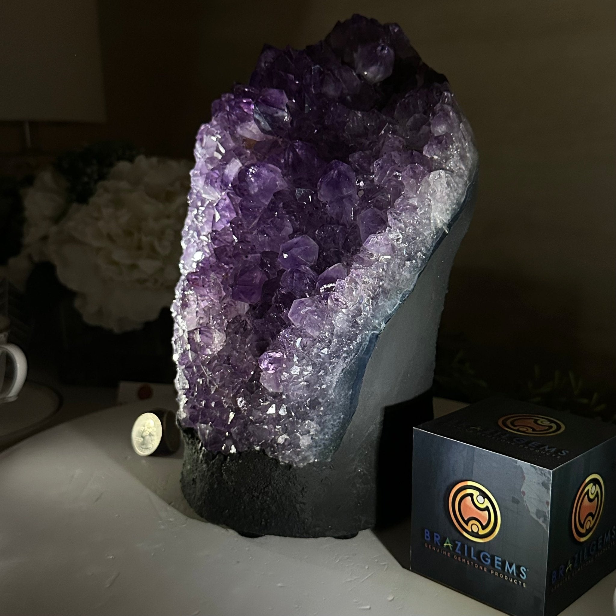 Extra Quality Amethyst Cluster, Cement Base, 14 lbs & 9.3" Tall #5614 - 0145 - Brazil GemsBrazil GemsExtra Quality Amethyst Cluster, Cement Base, 14 lbs & 9.3" Tall #5614 - 0145Clusters on Cement Bases5614 - 0145