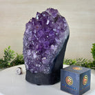 Extra Quality Amethyst Cluster, Cement Base, 14 lbs & 9.3" Tall #5614 - 0145 - Brazil GemsBrazil GemsExtra Quality Amethyst Cluster, Cement Base, 14 lbs & 9.3" Tall #5614 - 0145Clusters on Cement Bases5614 - 0145