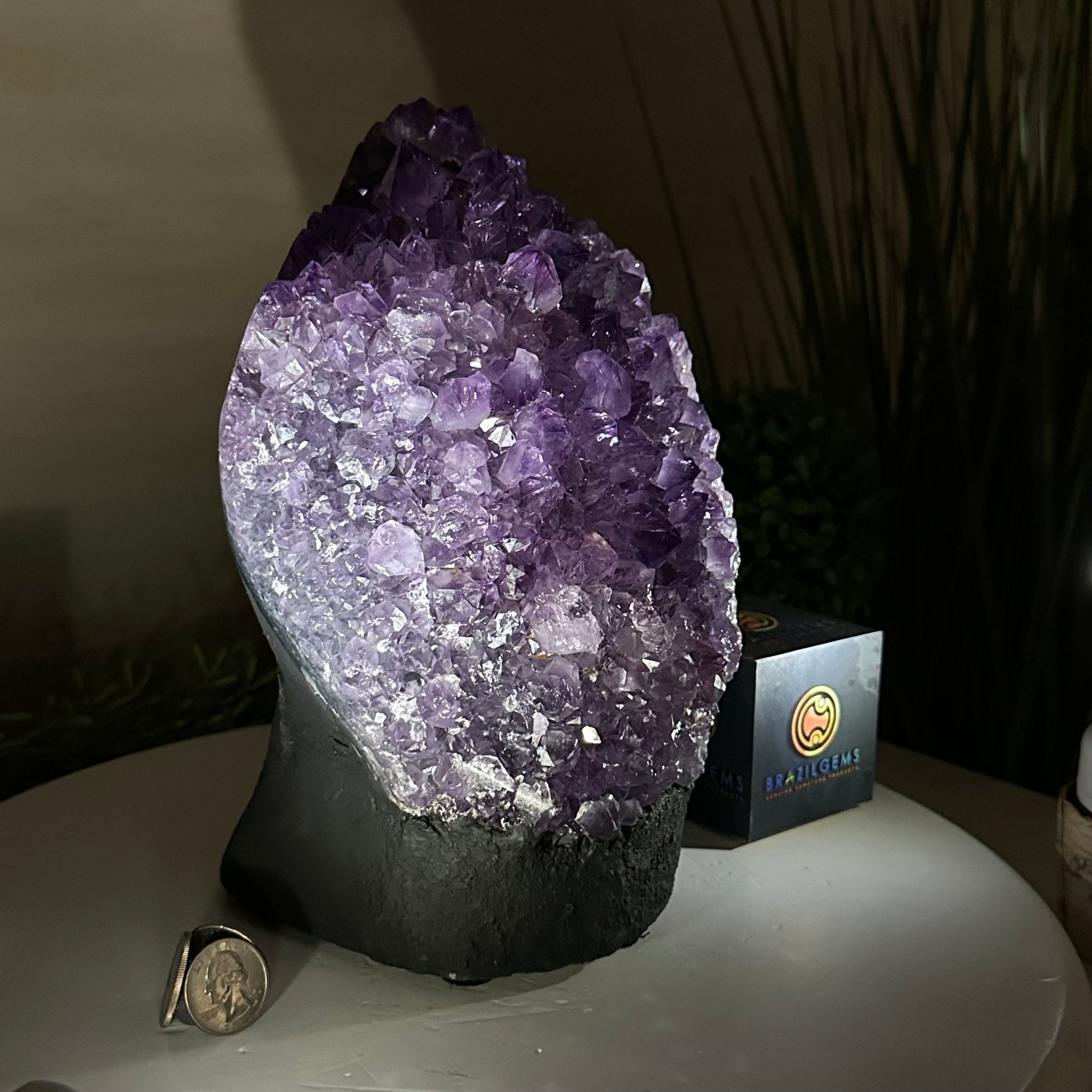 Extra Quality Amethyst Cluster, Cement Base, 14 lbs & 9.3" Tall #5614 - 0145 - Brazil GemsBrazil GemsExtra Quality Amethyst Cluster, Cement Base, 14 lbs & 9.3" Tall #5614 - 0145Clusters on Cement Bases5614 - 0145