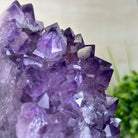 Extra Quality Amethyst Cluster, Cement Base, 14 lbs & 9.3" Tall #5614 - 0145 - Brazil GemsBrazil GemsExtra Quality Amethyst Cluster, Cement Base, 14 lbs & 9.3" Tall #5614 - 0145Clusters on Cement Bases5614 - 0145