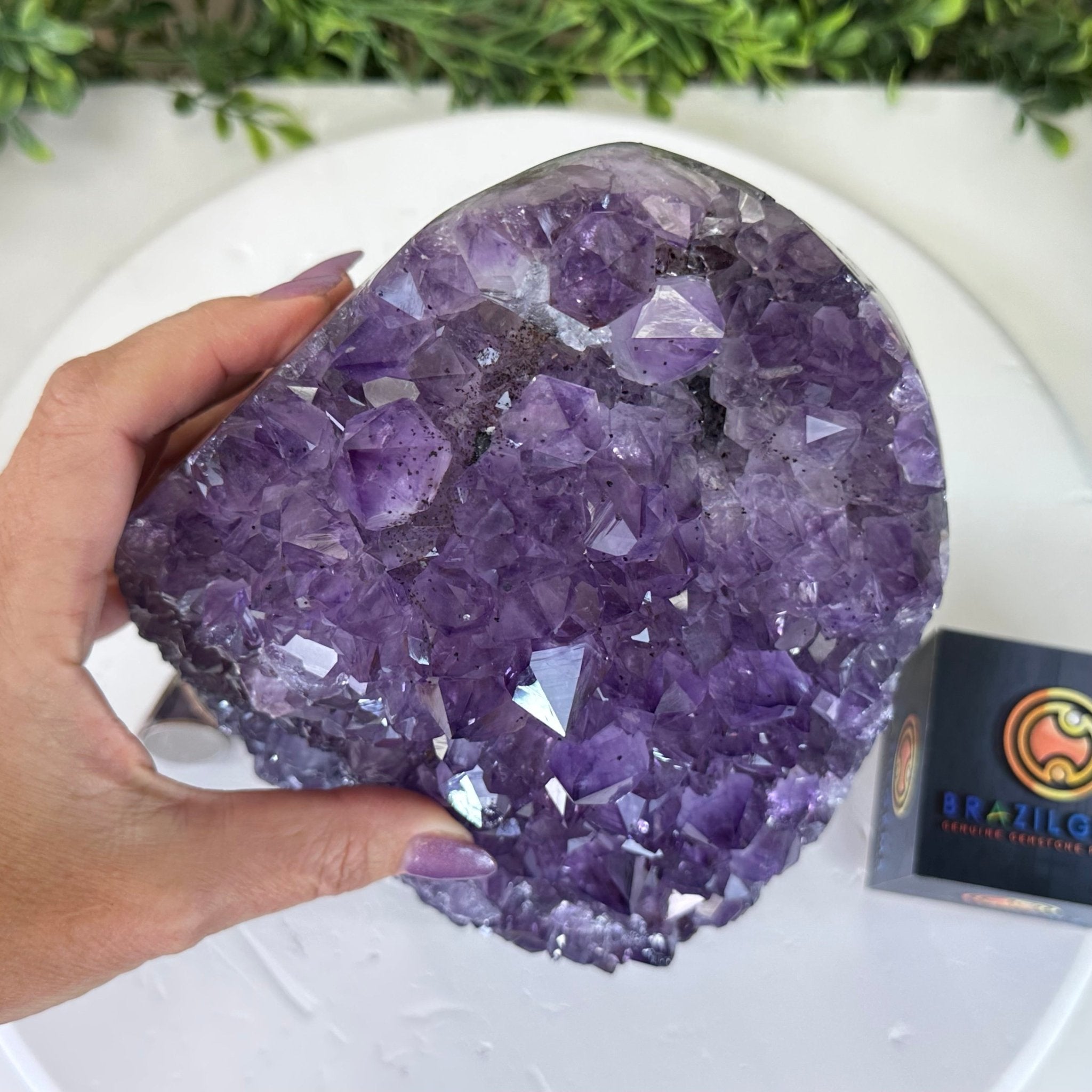 Extra Quality Amethyst Cluster, Cement Base, 14 lbs & 9.3" Tall #5614 - 0145 - Brazil GemsBrazil GemsExtra Quality Amethyst Cluster, Cement Base, 14 lbs & 9.3" Tall #5614 - 0145Clusters on Cement Bases5614 - 0145