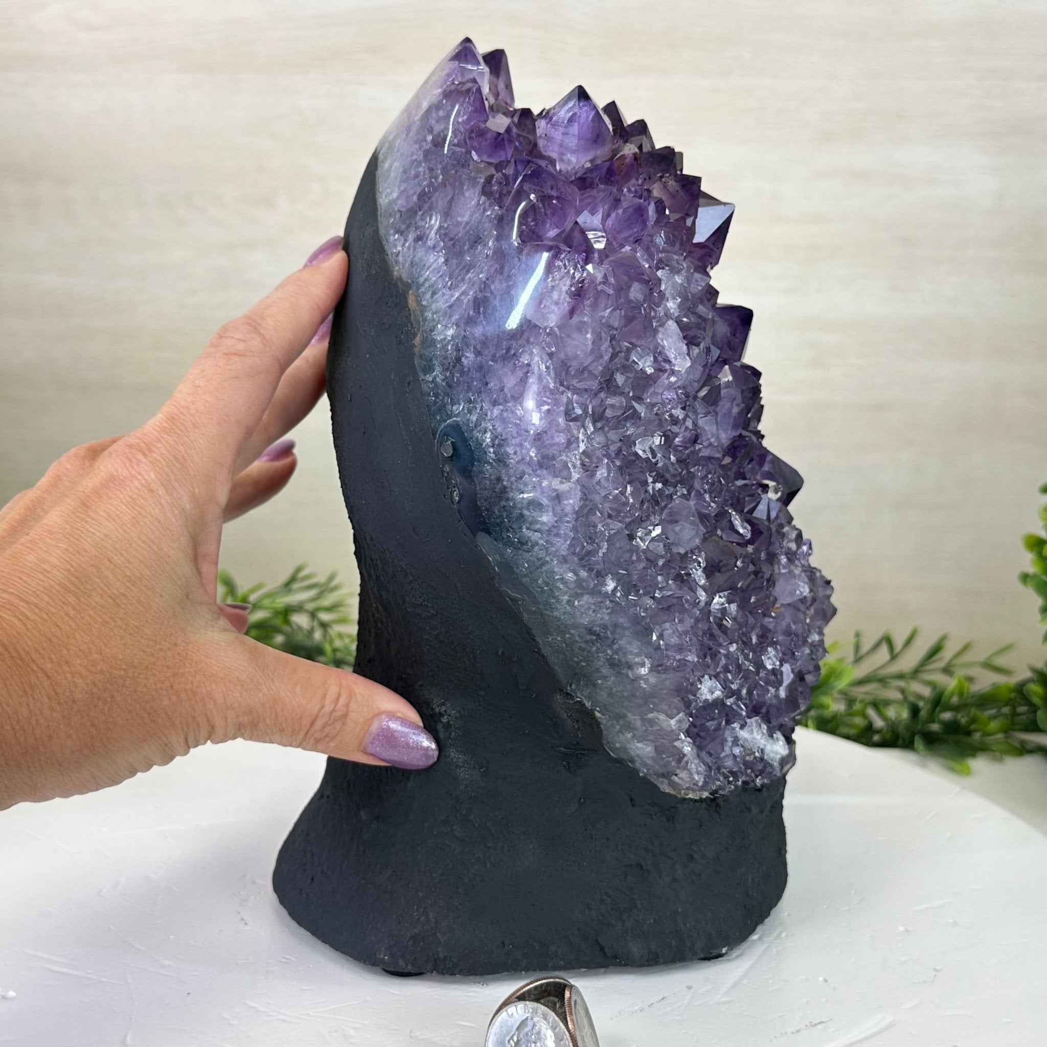 Extra Quality Amethyst Cluster, Cement Base, 14 lbs & 9.3" Tall #5614 - 0145 - Brazil GemsBrazil GemsExtra Quality Amethyst Cluster, Cement Base, 14 lbs & 9.3" Tall #5614 - 0145Clusters on Cement Bases5614 - 0145