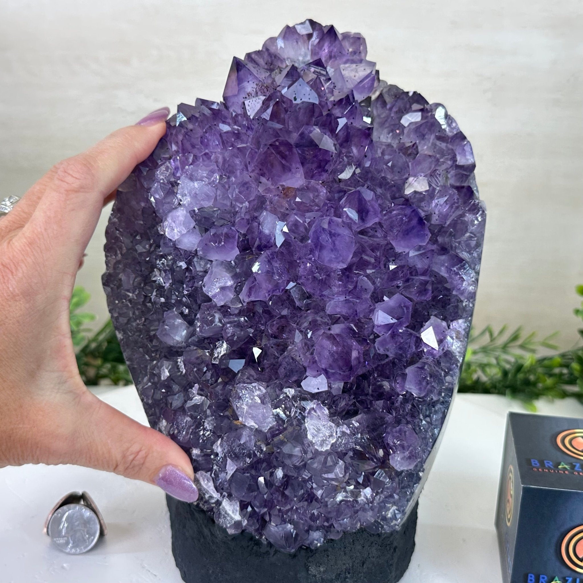 Extra Quality Amethyst Cluster, Cement Base, 14 lbs & 9.3" Tall #5614 - 0145 - Brazil GemsBrazil GemsExtra Quality Amethyst Cluster, Cement Base, 14 lbs & 9.3" Tall #5614 - 0145Clusters on Cement Bases5614 - 0145