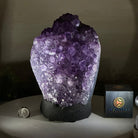 Extra Quality Amethyst Cluster, Cement Base, 14 lbs & 9.3" Tall #5614 - 0145 - Brazil GemsBrazil GemsExtra Quality Amethyst Cluster, Cement Base, 14 lbs & 9.3" Tall #5614 - 0145Clusters on Cement Bases5614 - 0145