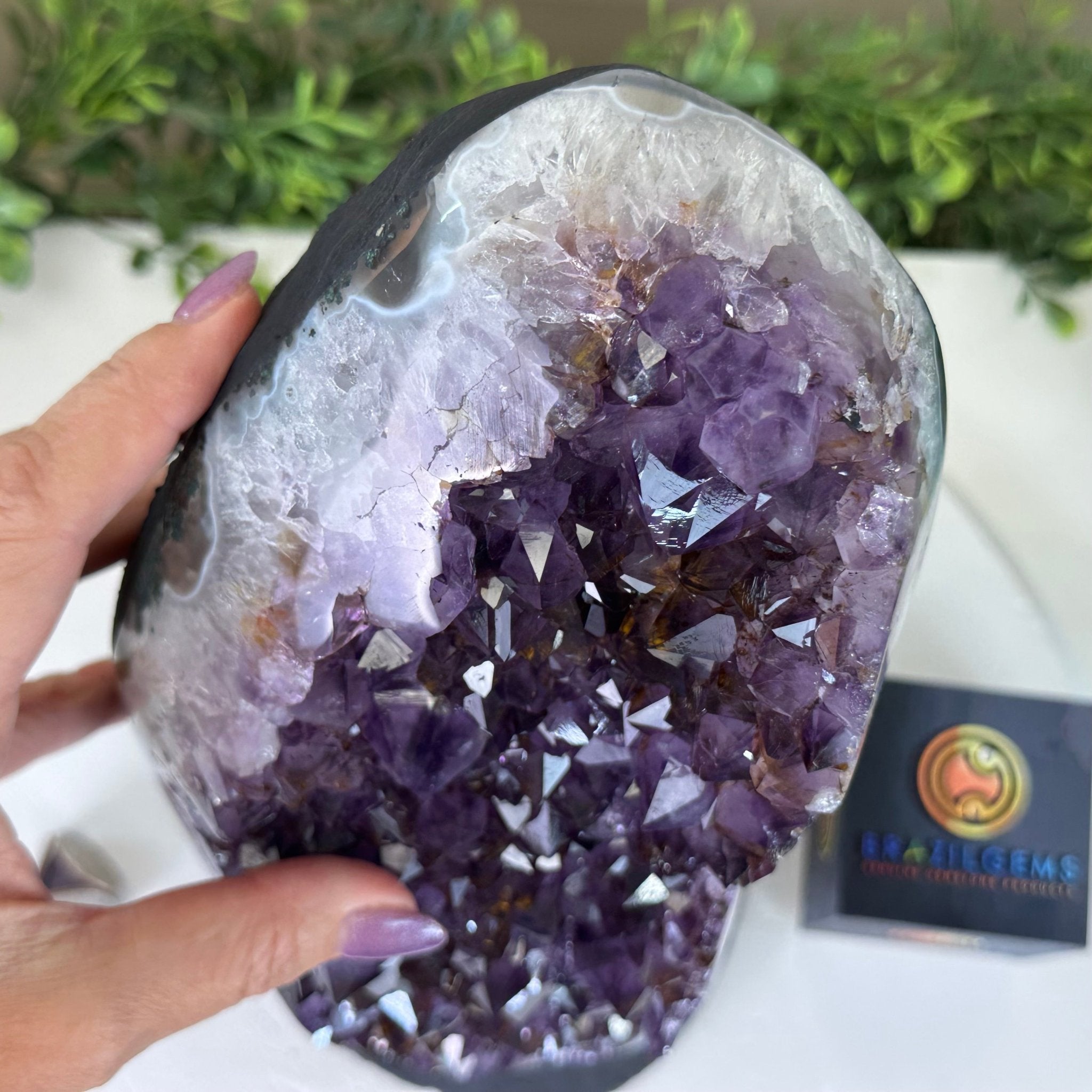 Extra Quality Amethyst Cluster, Cement Base, 16.2 lbs & 12.5" Tall #5614 - 0148 - Brazil GemsBrazil GemsExtra Quality Amethyst Cluster, Cement Base, 16.2 lbs & 12.5" Tall #5614 - 0148Clusters on Cement Bases5614 - 0148