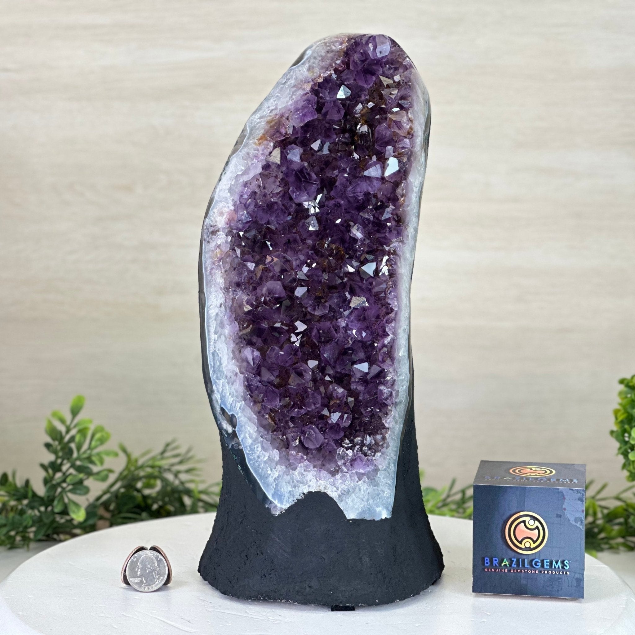 Extra Quality Amethyst Cluster, Cement Base, 16.2 lbs & 12.5" Tall #5614 - 0148 - Brazil GemsBrazil GemsExtra Quality Amethyst Cluster, Cement Base, 16.2 lbs & 12.5" Tall #5614 - 0148Clusters on Cement Bases5614 - 0148