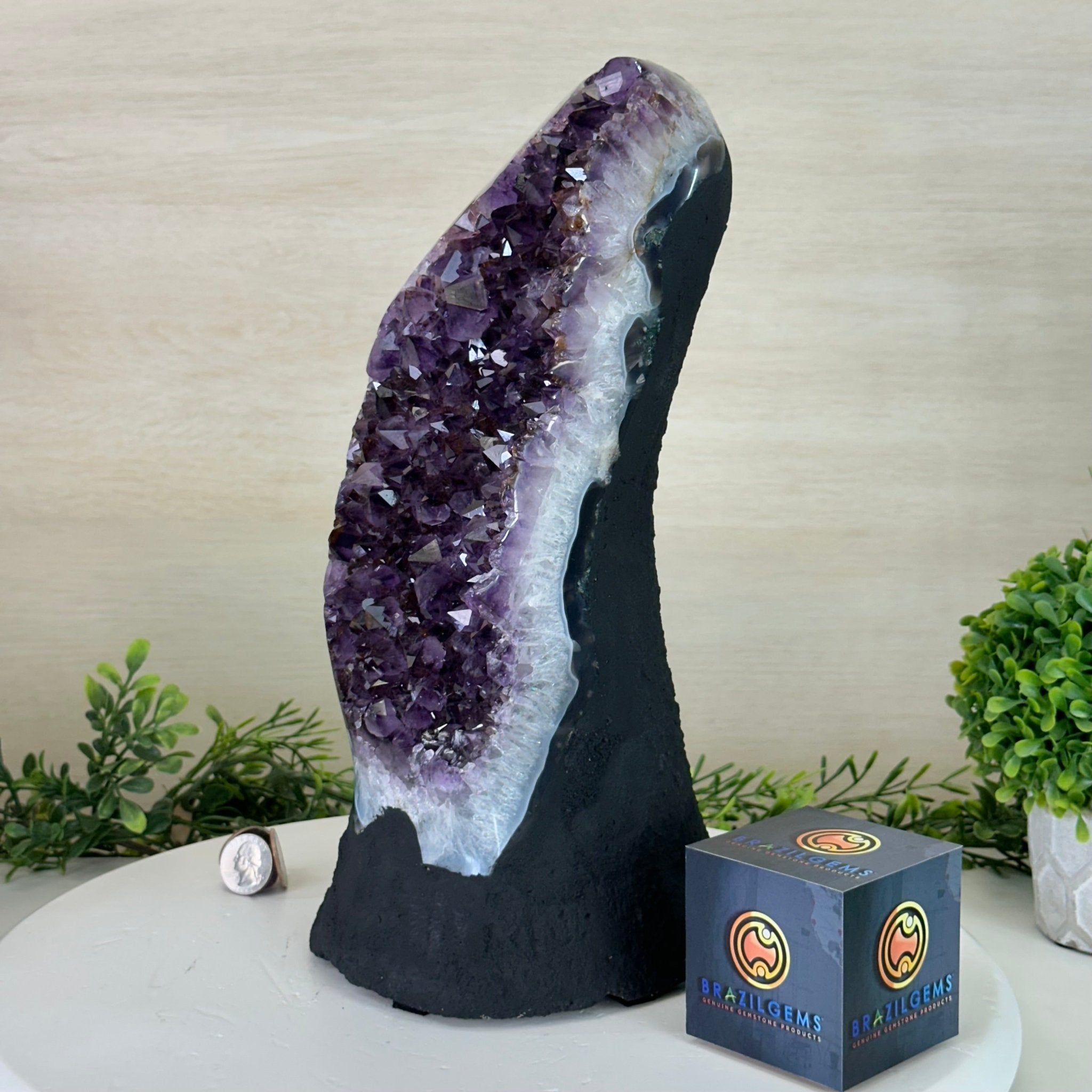 Extra Quality Amethyst Cluster, Cement Base, 16.2 lbs & 12.5" Tall #5614 - 0148 - Brazil GemsBrazil GemsExtra Quality Amethyst Cluster, Cement Base, 16.2 lbs & 12.5" Tall #5614 - 0148Clusters on Cement Bases5614 - 0148