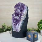 Extra Quality Amethyst Cluster, Cement Base, 16.6 lbs & 11.2" Tall #5614 - 0149 - Brazil GemsBrazil GemsExtra Quality Amethyst Cluster, Cement Base, 16.6 lbs & 11.2" Tall #5614 - 0149Clusters on Cement Bases5614 - 0149