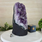 Extra Quality Amethyst Cluster, Cement Base, 16.6 lbs & 11.2" Tall #5614 - 0149 - Brazil GemsBrazil GemsExtra Quality Amethyst Cluster, Cement Base, 16.6 lbs & 11.2" Tall #5614 - 0149Clusters on Cement Bases5614 - 0149